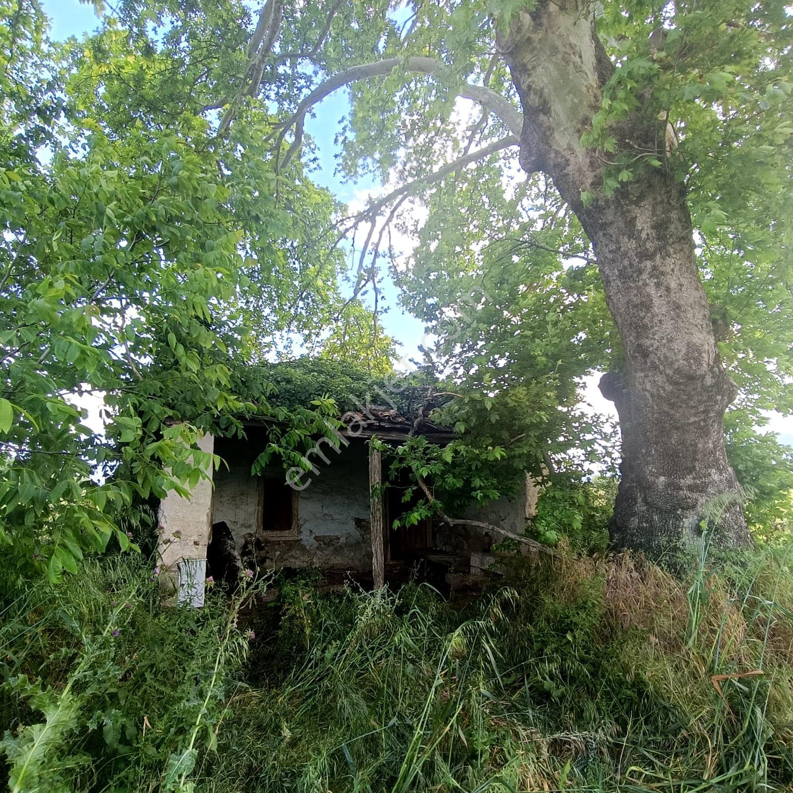 Kemalpaşa Yukarı Kızılca'da Elektrik Ve Su Hazır 31 Dönüm Arazi - Görsel 30