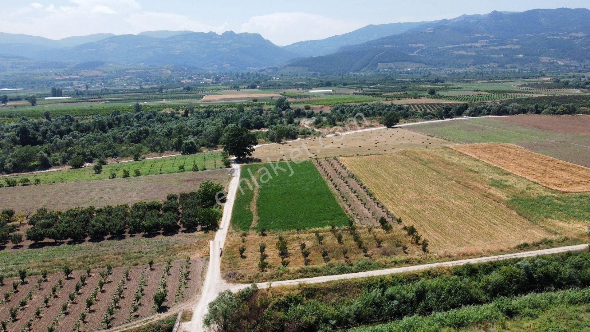 Oryaştan Sakarya Pamukovada Yola Cepheli 1094m2 Müstakil Parsel - Görsel 5
