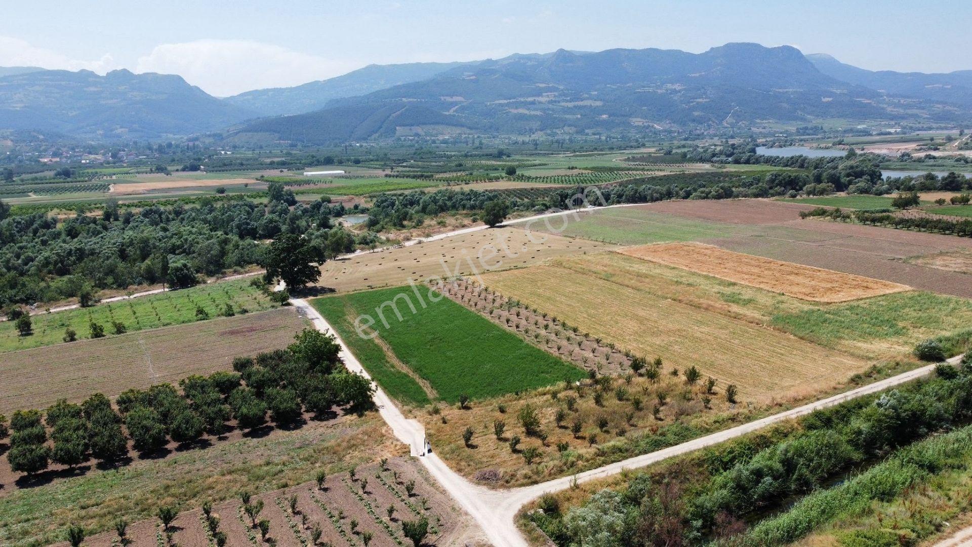 Oryaştan Sakarya Pamukovada Yola Cepheli 1094m2 Müstakil Parsel - Görsel 7