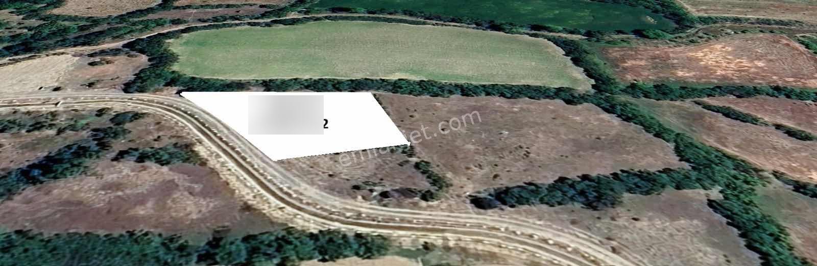 Remax Dem'den Cevizli Köyünde Satılık Fırsat Sulu Tarla - Görsel 3