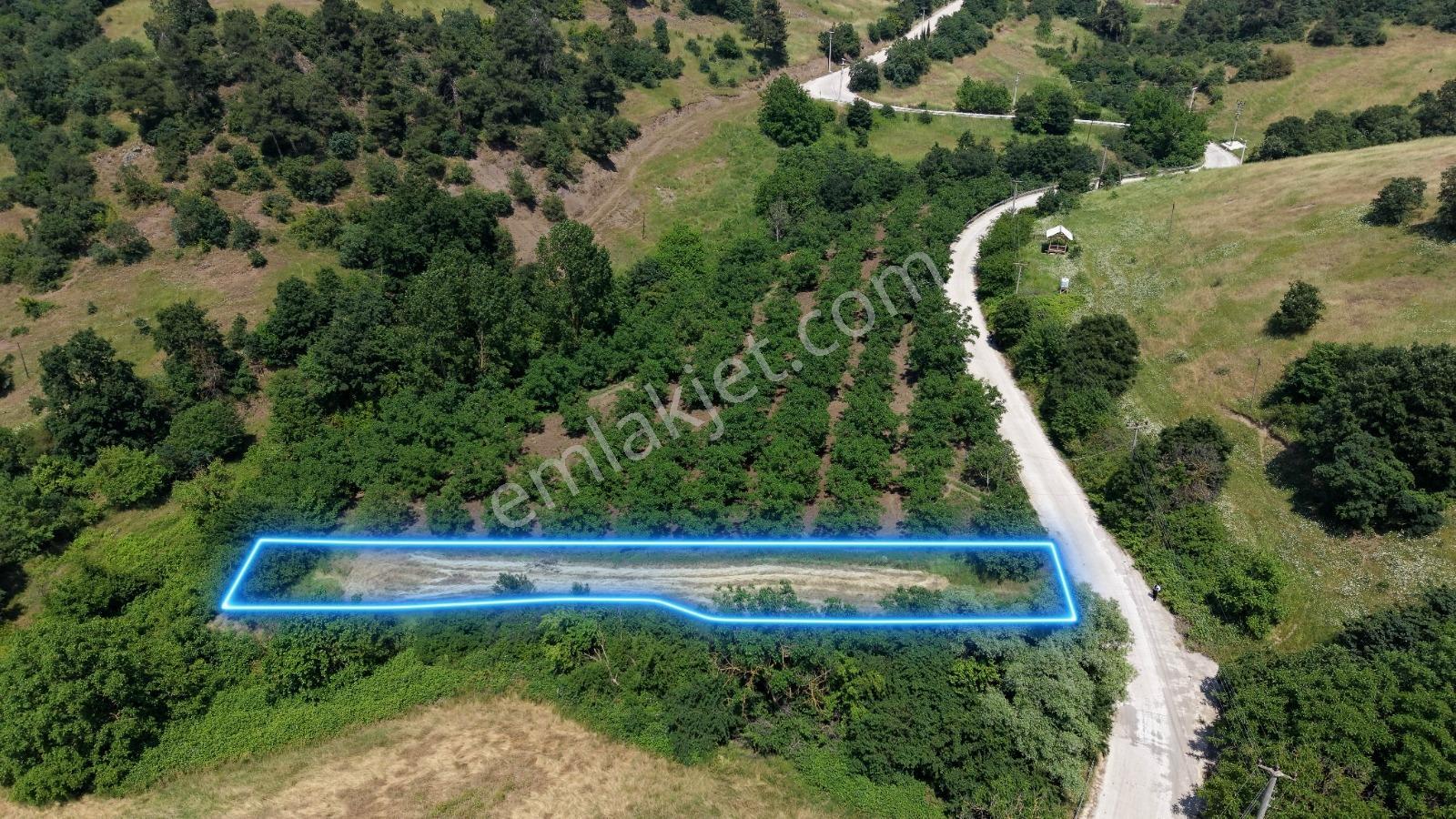 Çamdibi Köyün'de Köye Yakın Asfalta Cephe 991m2 Tarla! - Görsel 5