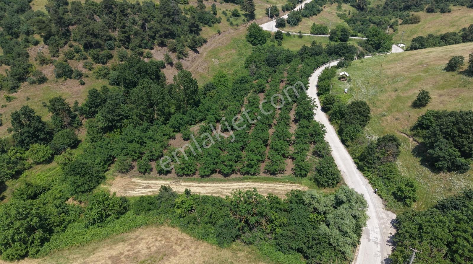 Çamdibi Köyün'de Köye Yakın Asfalta Cephe 991m2 Tarla! - Görsel 13
