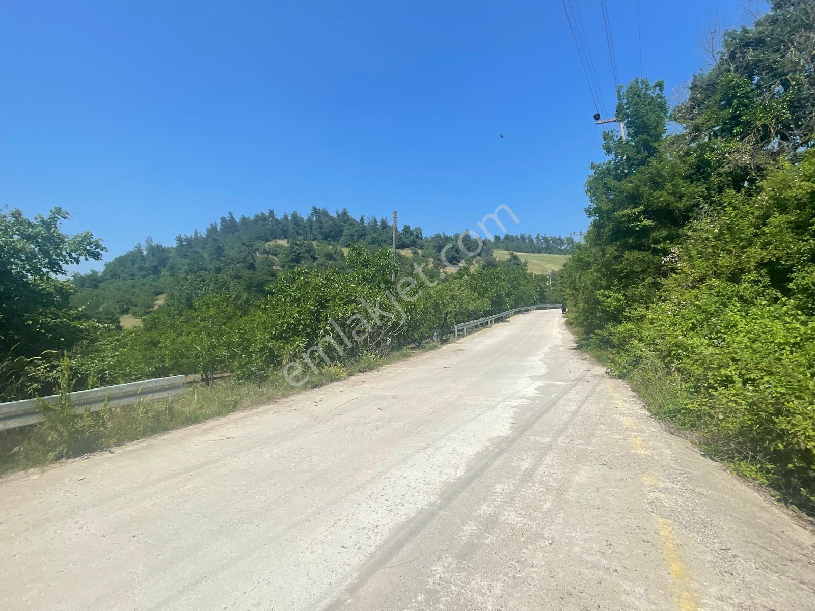 Çamdibi Köyün'de Köye Yakın Asfalta Cephe 991m2 Tarla! - Görsel 6