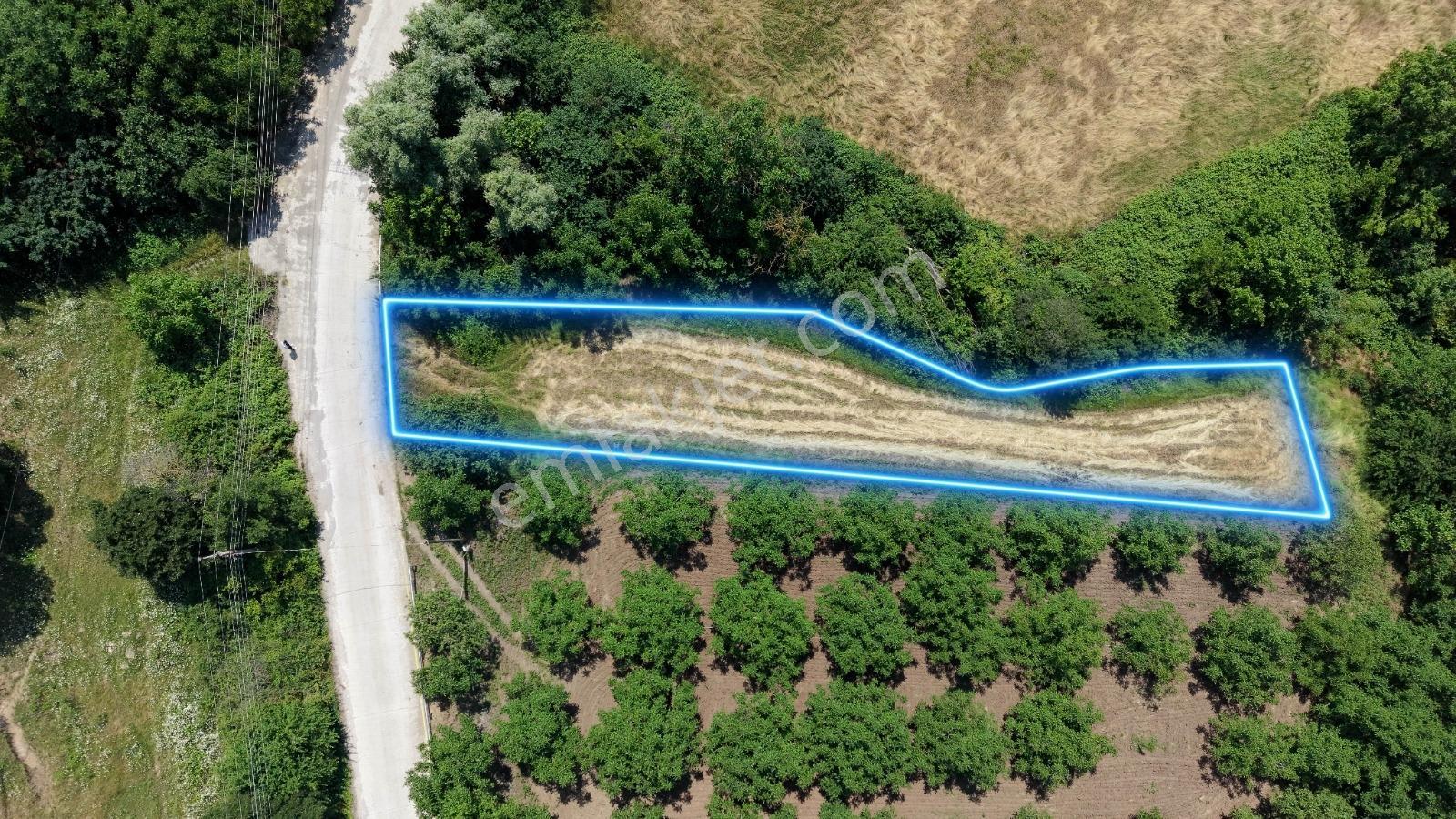 Çamdibi Köyün'de Köye Yakın Asfalta Cephe 991m2 Tarla! - Görsel 12