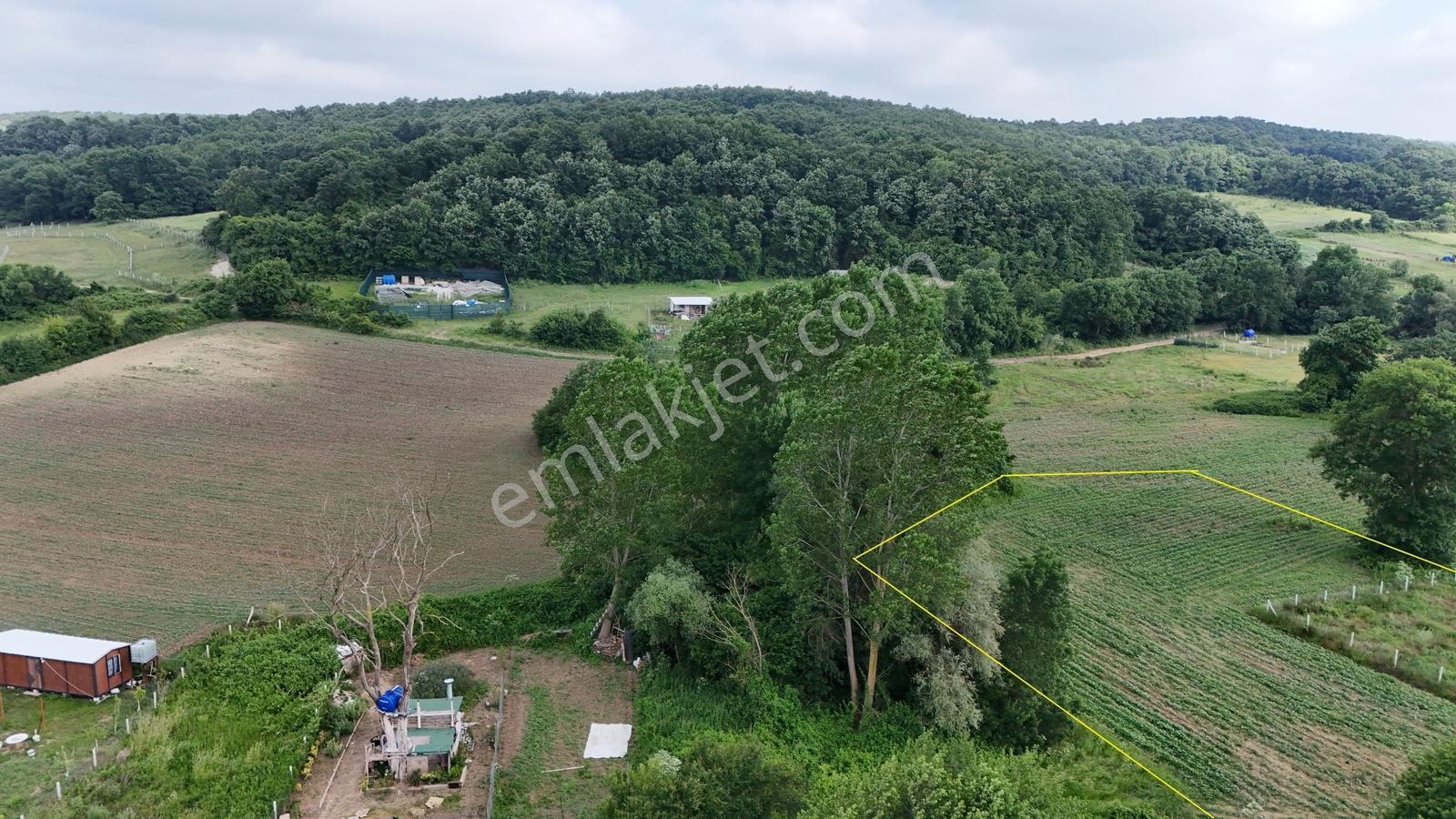 İstanbul Çiftlikköy 'de 1.065m2 Muhteşem Bahçe, Profasor *dan - Görsel 19