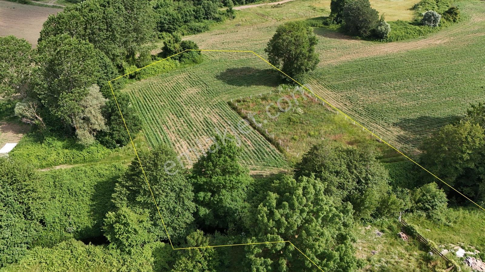 İstanbul Çiftlikköy 'de 1.065m2 Muhteşem Bahçe, Profasor *dan - Görsel 14