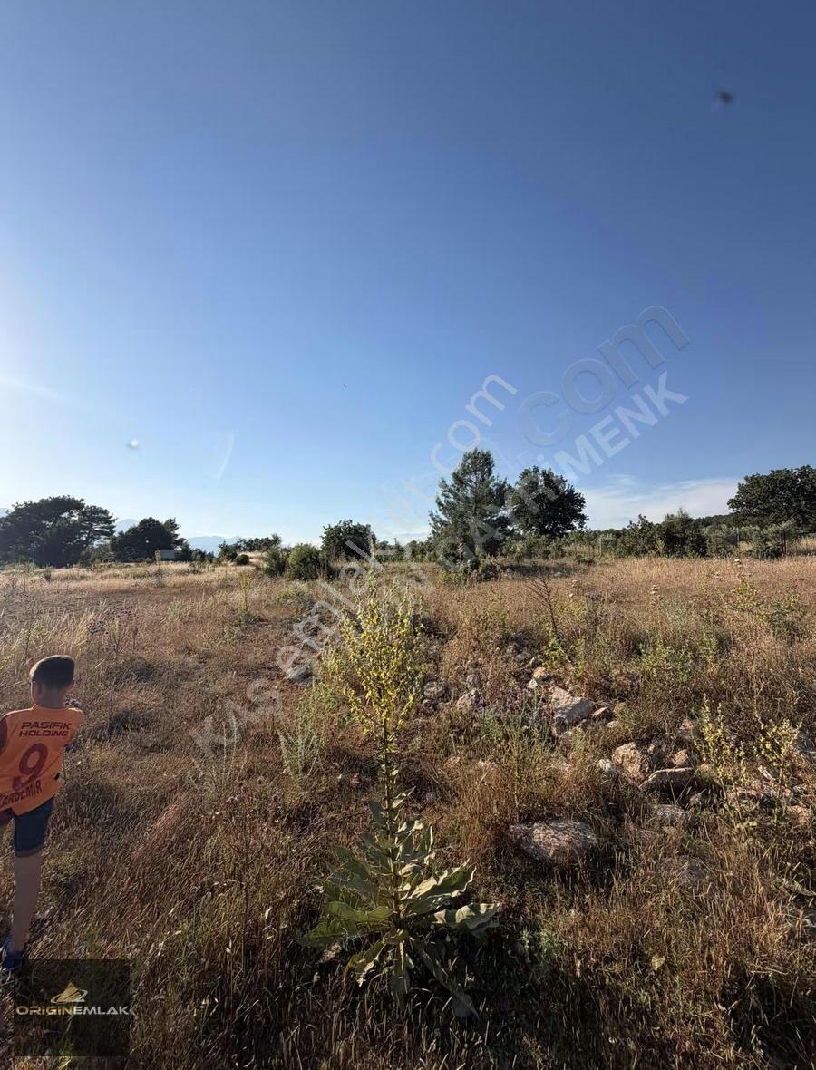 Kaş Palamut Satılık Tarla 3000 M2 - Görsel 16