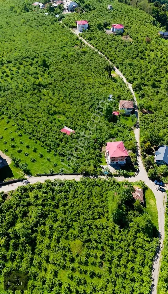 Trabzon Ortahisar Akoluk Aydınlı Mahallesin De Satılık Arazi - Görsel 5