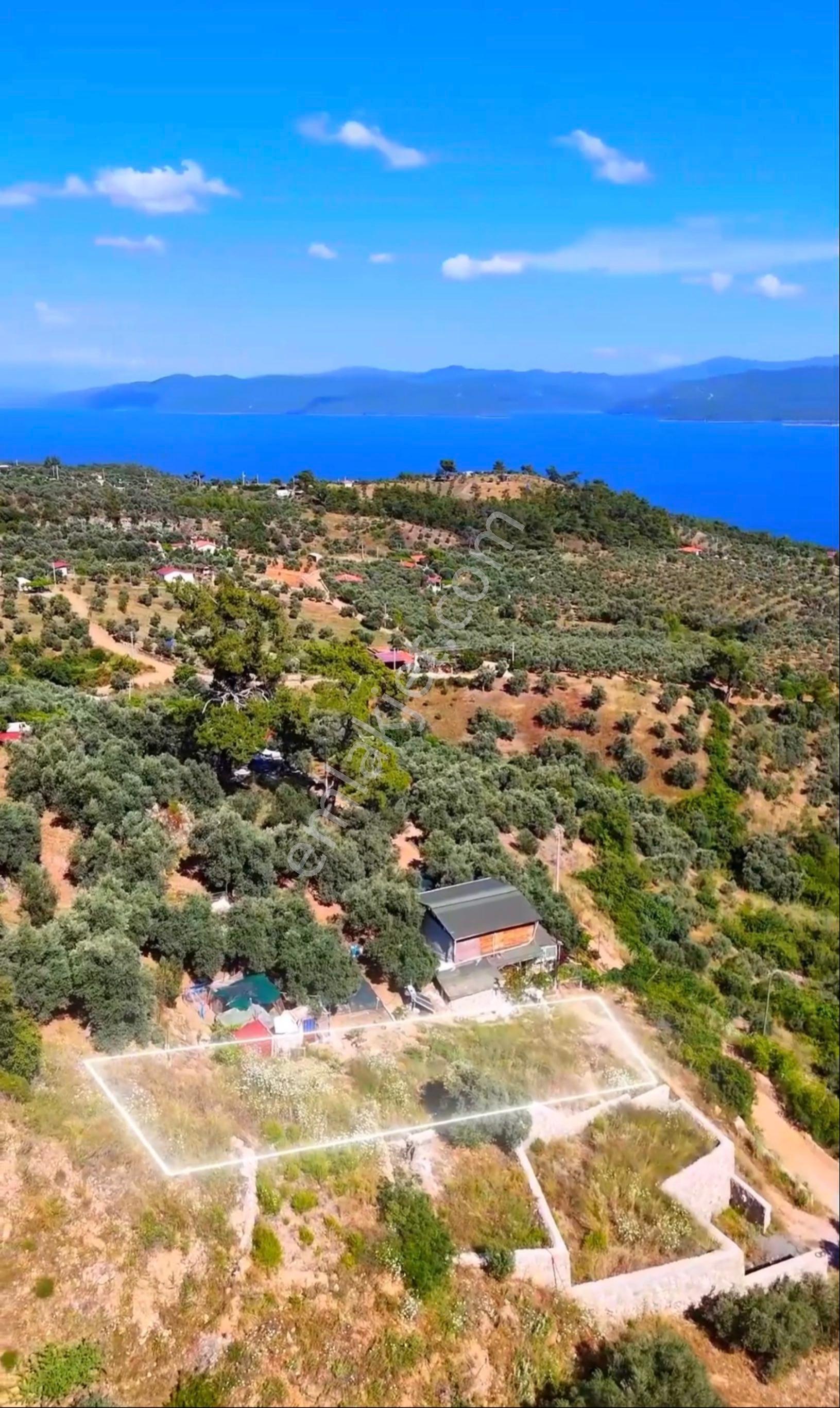 Muğla Menteşe Kıran Ful Deniz Manzaralı Satılık Tarla - Görsel 4