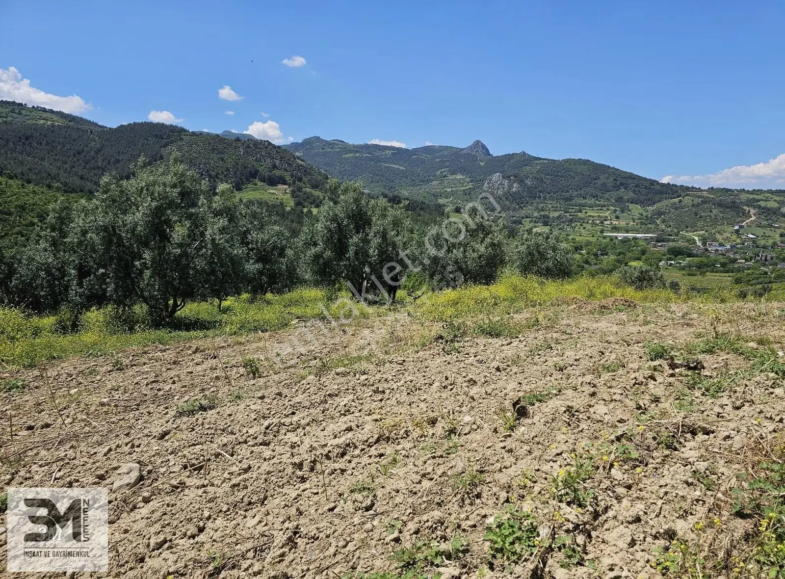 Sakarya Umurbey'de 526m² Projeli Satılık Arsa - Yatırım Fırsatı