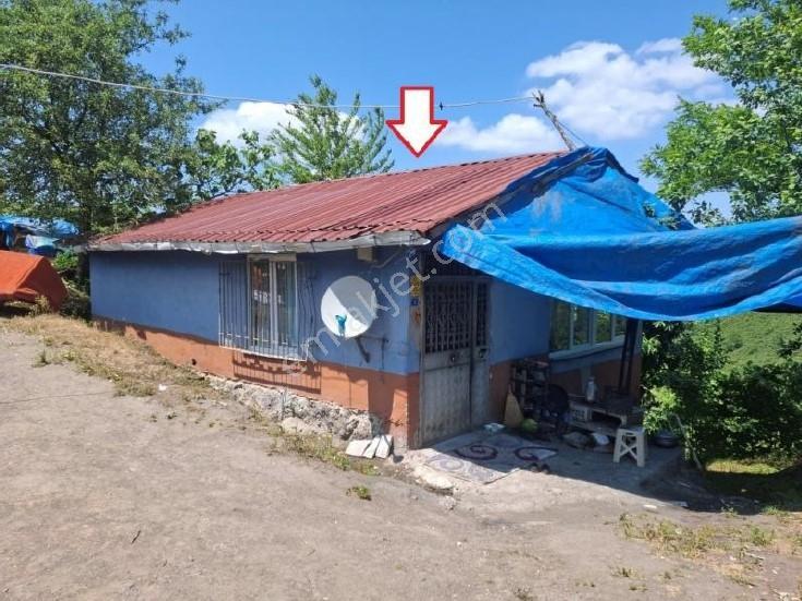 Samsun Salı Pazarı Kırgıl Ev Ve Fındık Tarlası - Görsel 13