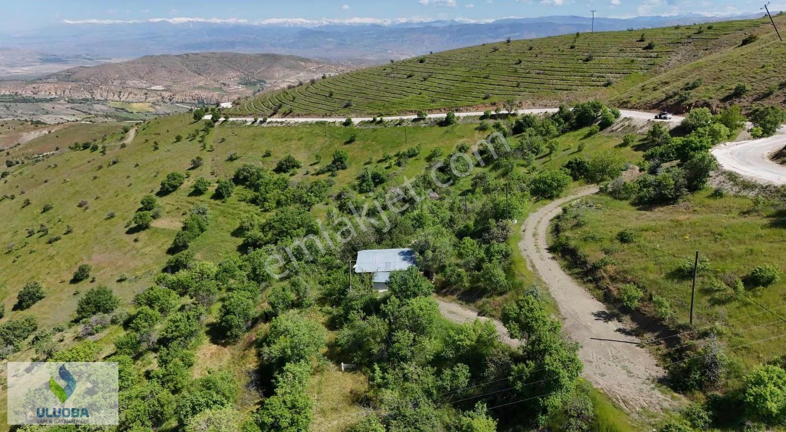 Uluoba'dan Kaçmayacak Hayalleri Süsleyen Bahçe - Görsel 5