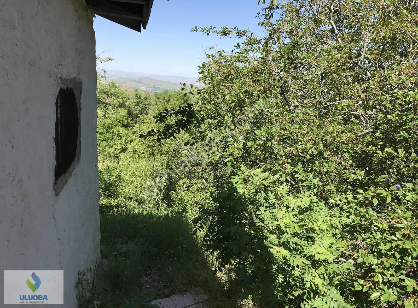 Uluoba'dan Kaçmayacak Hayalleri Süsleyen Bahçe - Görsel 20
