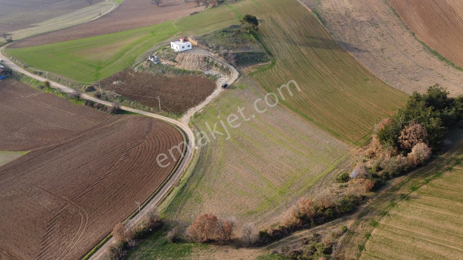 Karataş'tan 8125 M2 Elektriği Yolu Suyu 75m2 1+1 Evi Olan Arazi - Görsel 14