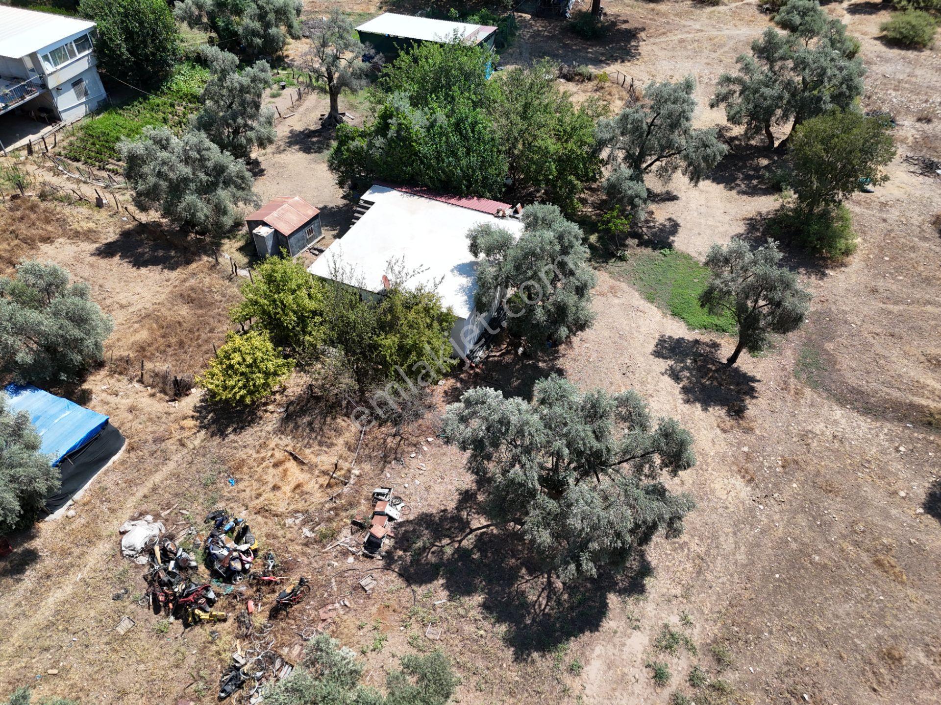 Milas Kandak'ta Doğa İçinde 1.641m² Zeytinlikli Müstakil Ev! - Görsel 25