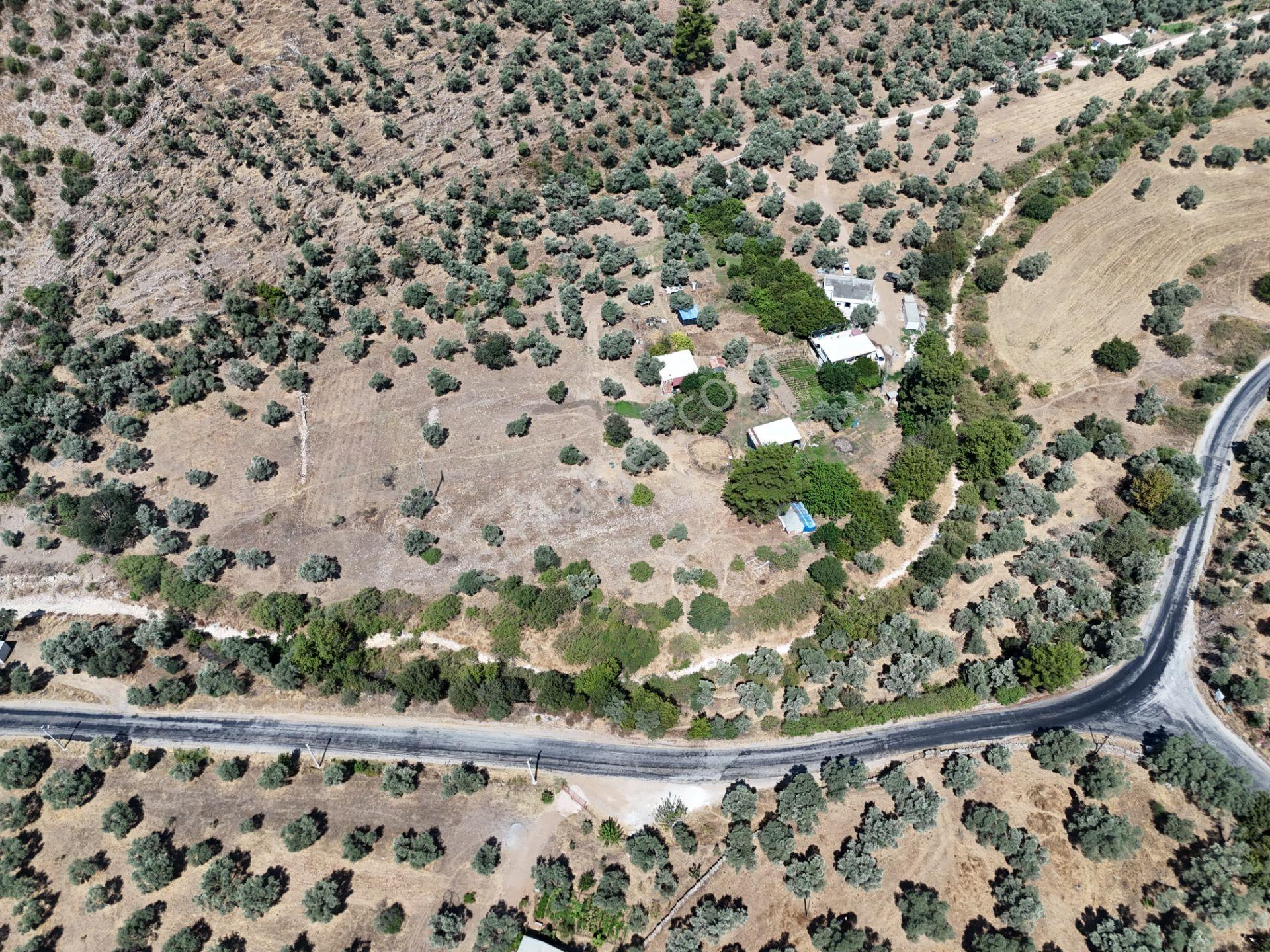 Milas Kandak'ta Doğa İçinde 1.641m² Zeytinlikli Müstakil Ev! - Görsel 29