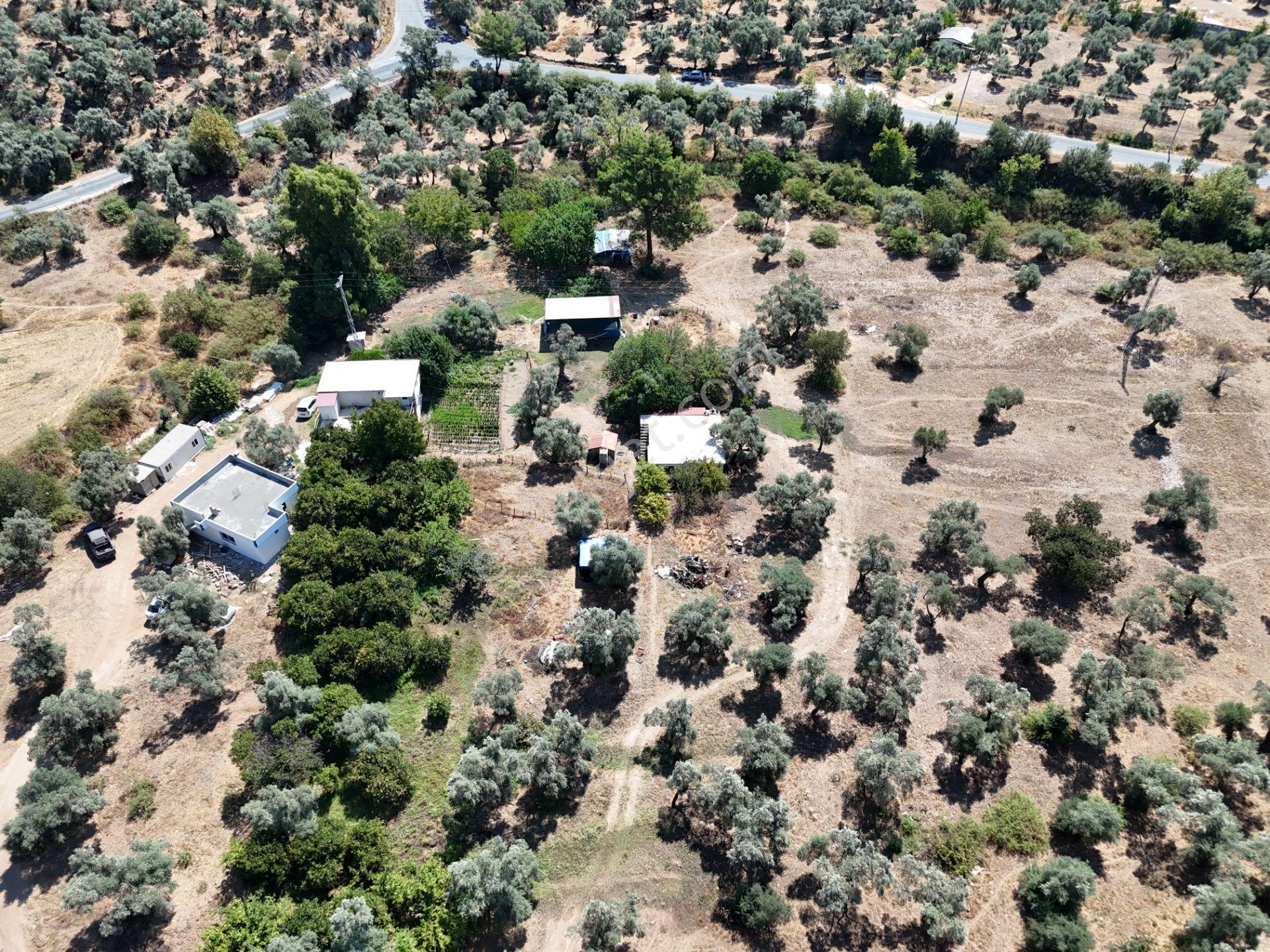 Milas Kandak'ta Doğa İçinde 1.641m² Zeytinlikli Müstakil Ev! - Görsel 22