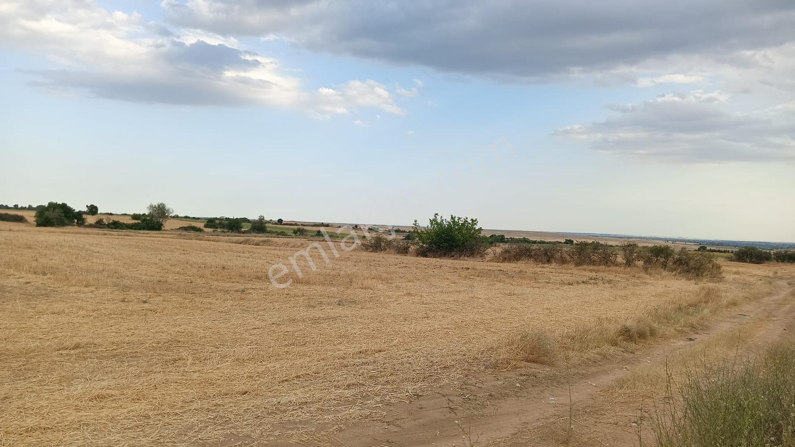 Kırklareli Merkez Kayalı'da 9.350 M² Satılık Tek Tapu Arsa