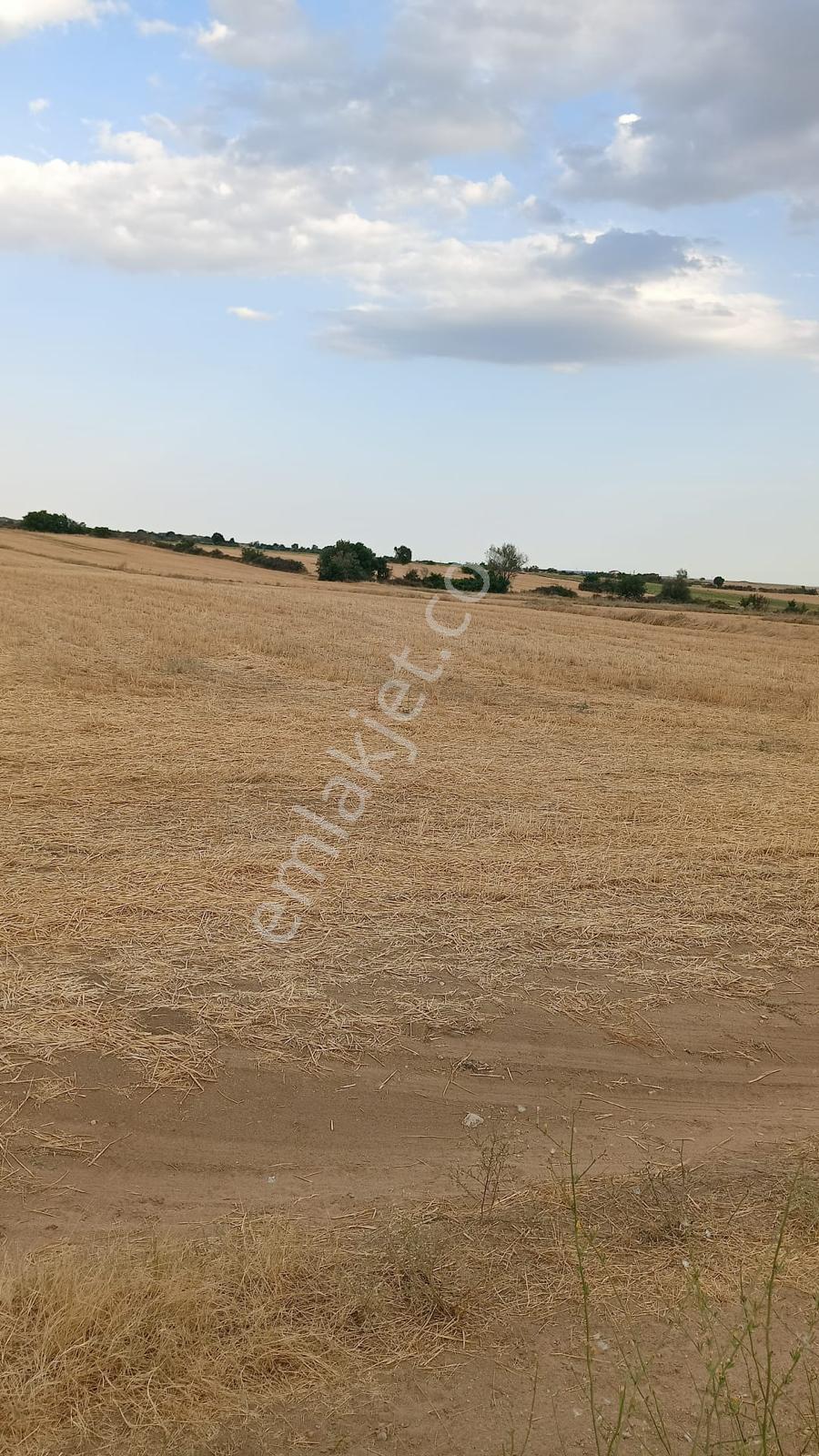 Kırklareli Merkez Kayalı'da 9.350 M² Satılık Tek Tapu Arsa - Görsel 4