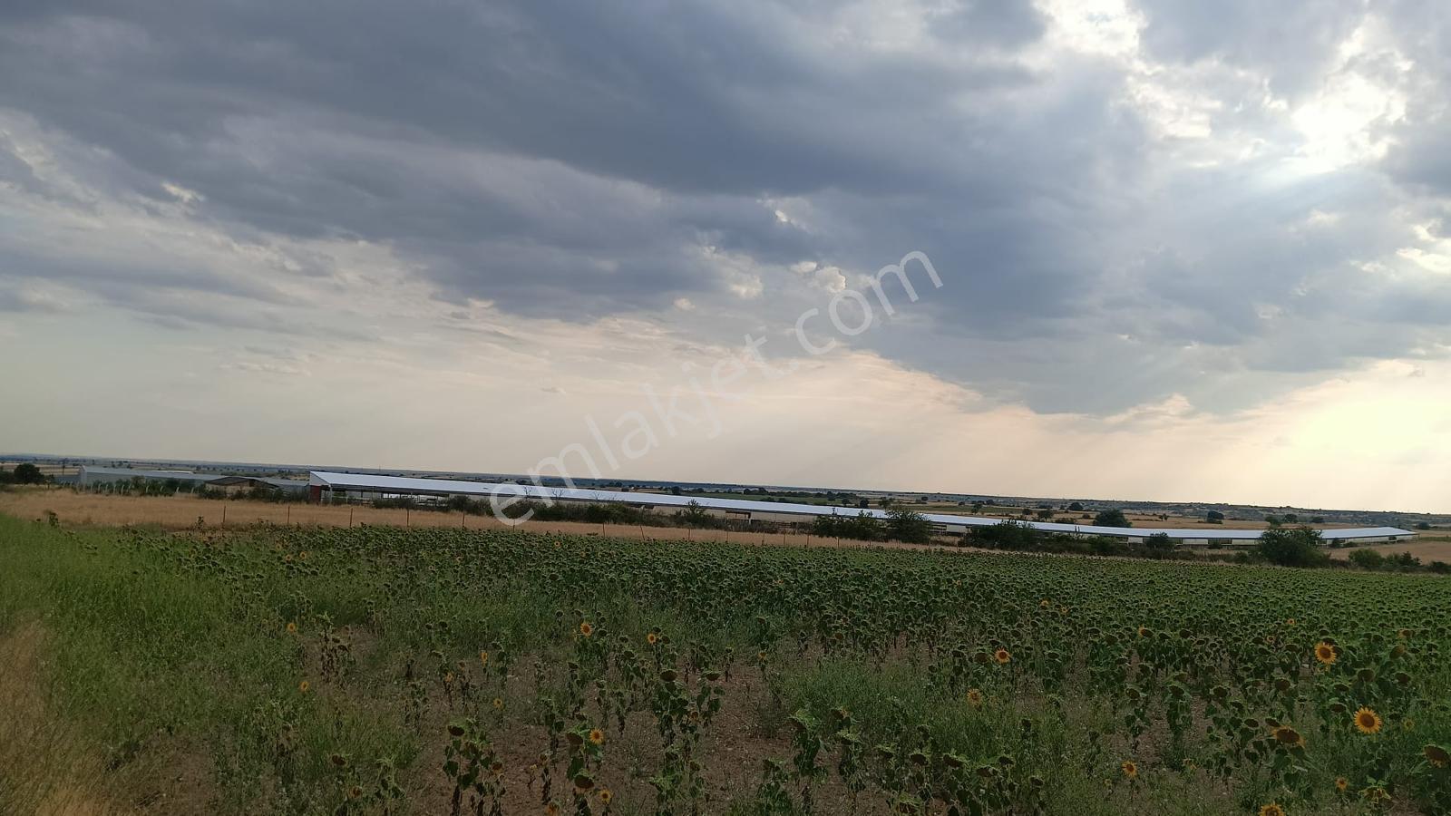 Kırklareli Merkez Kayalı'da 9.350 M² Satılık Tek Tapu Arsa - Görsel 2