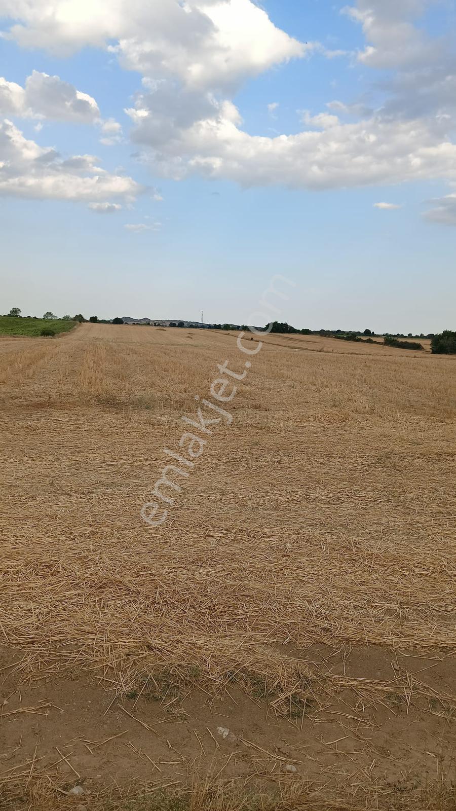 Kırklareli Merkez Kayalı'da 9.350 M² Satılık Tek Tapu Arsa - Görsel 6