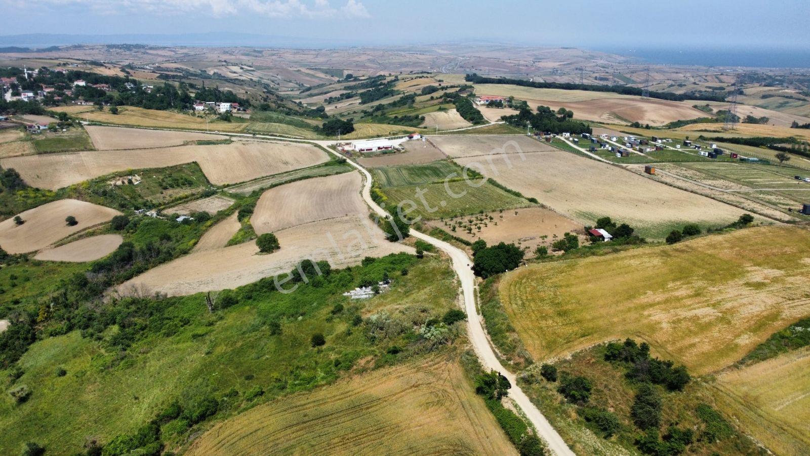 Gelibolu/kavaklıtepe'de Toplam 17 Dönüm Satılık Arazi - Görsel 2