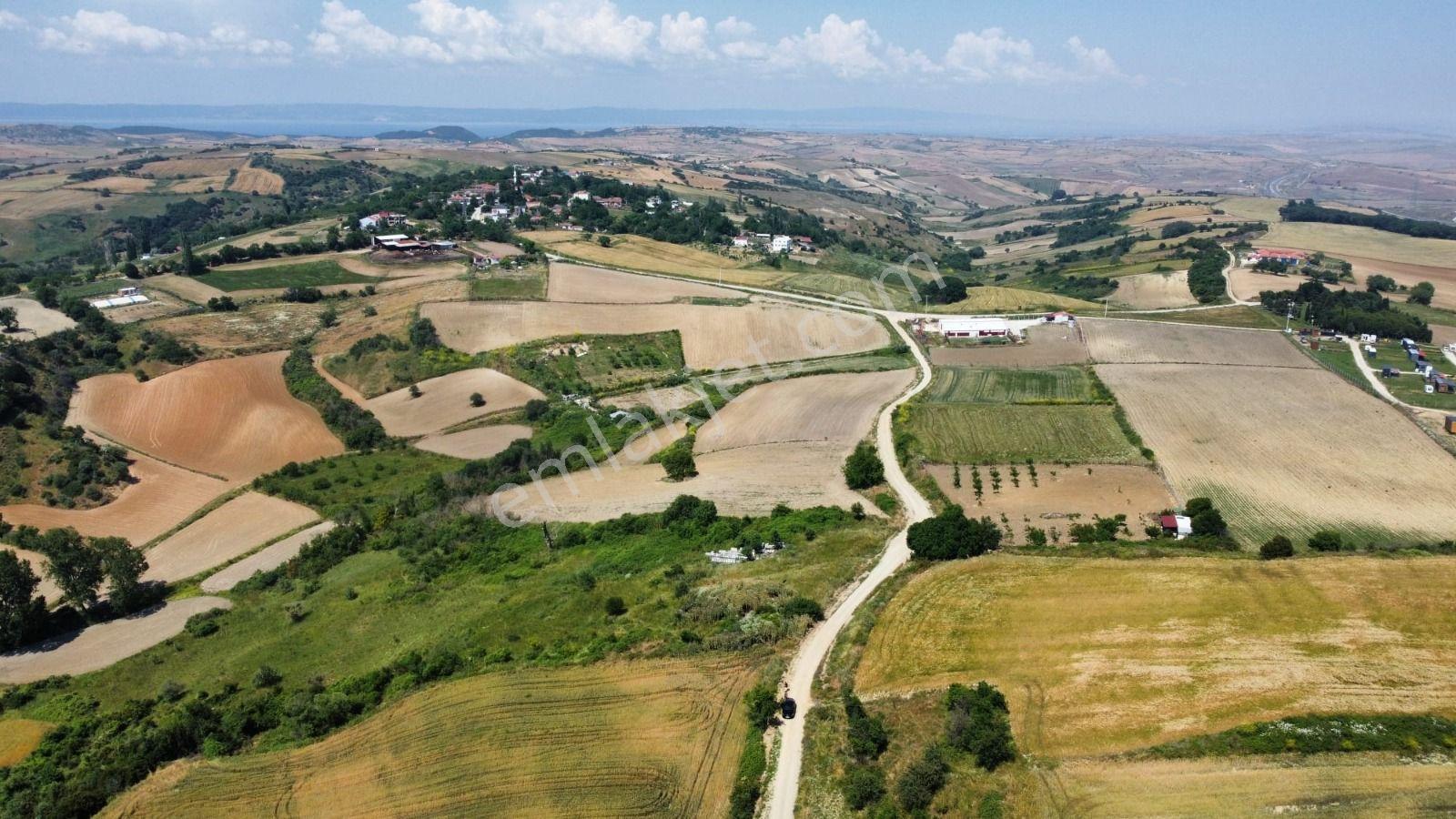 Gelibolu/kavaklıtepe'de Toplam 17 Dönüm Satılık Arazi - Görsel 4