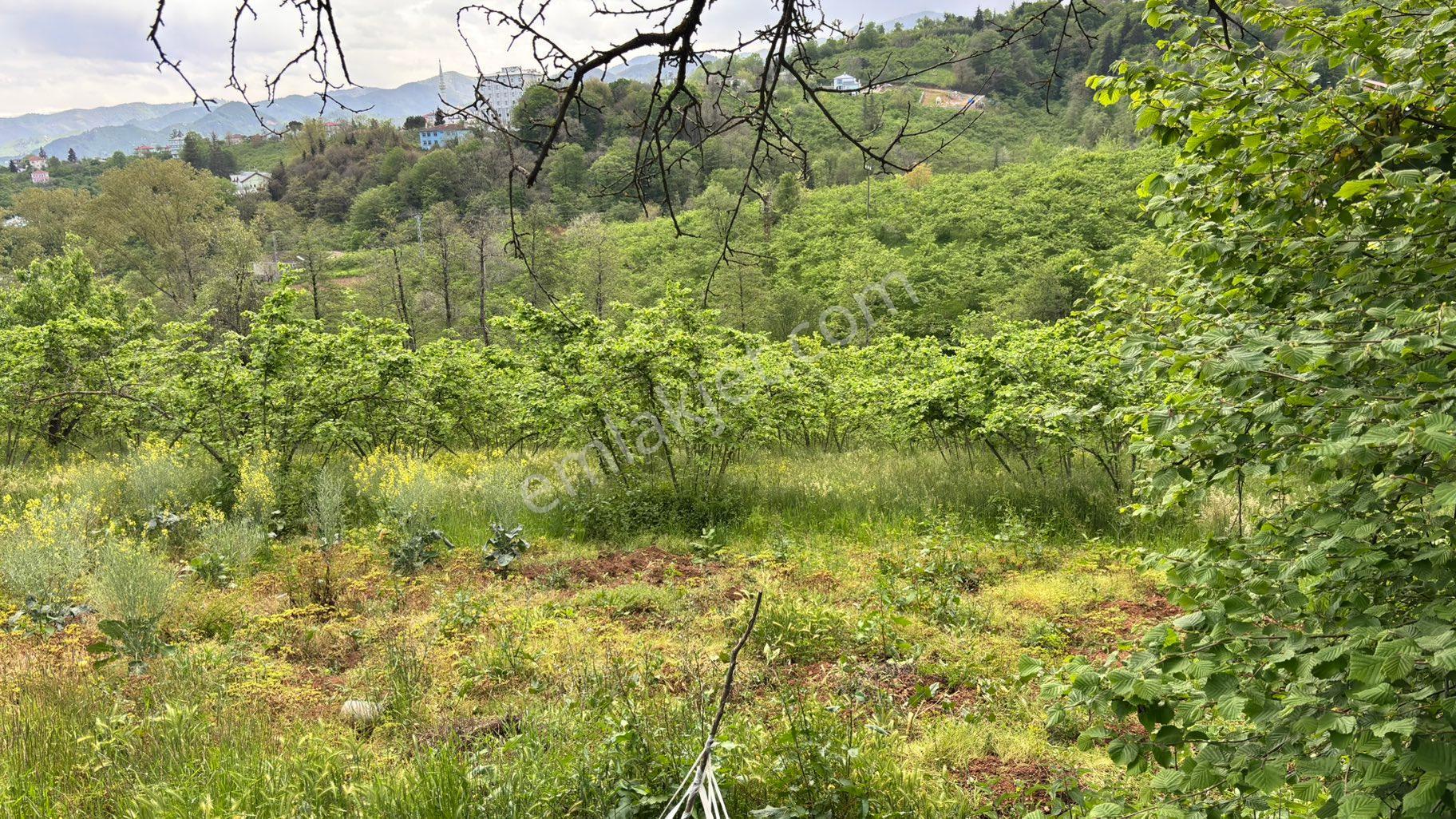 Satılık Arsa Arazi Kavala 3800mkr Yatırımlık - Görsel 5