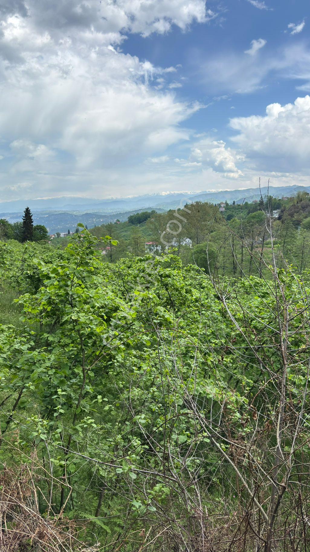 Satılık Arsa Arazi Kavala 3800mkr Yatırımlık - Görsel 9