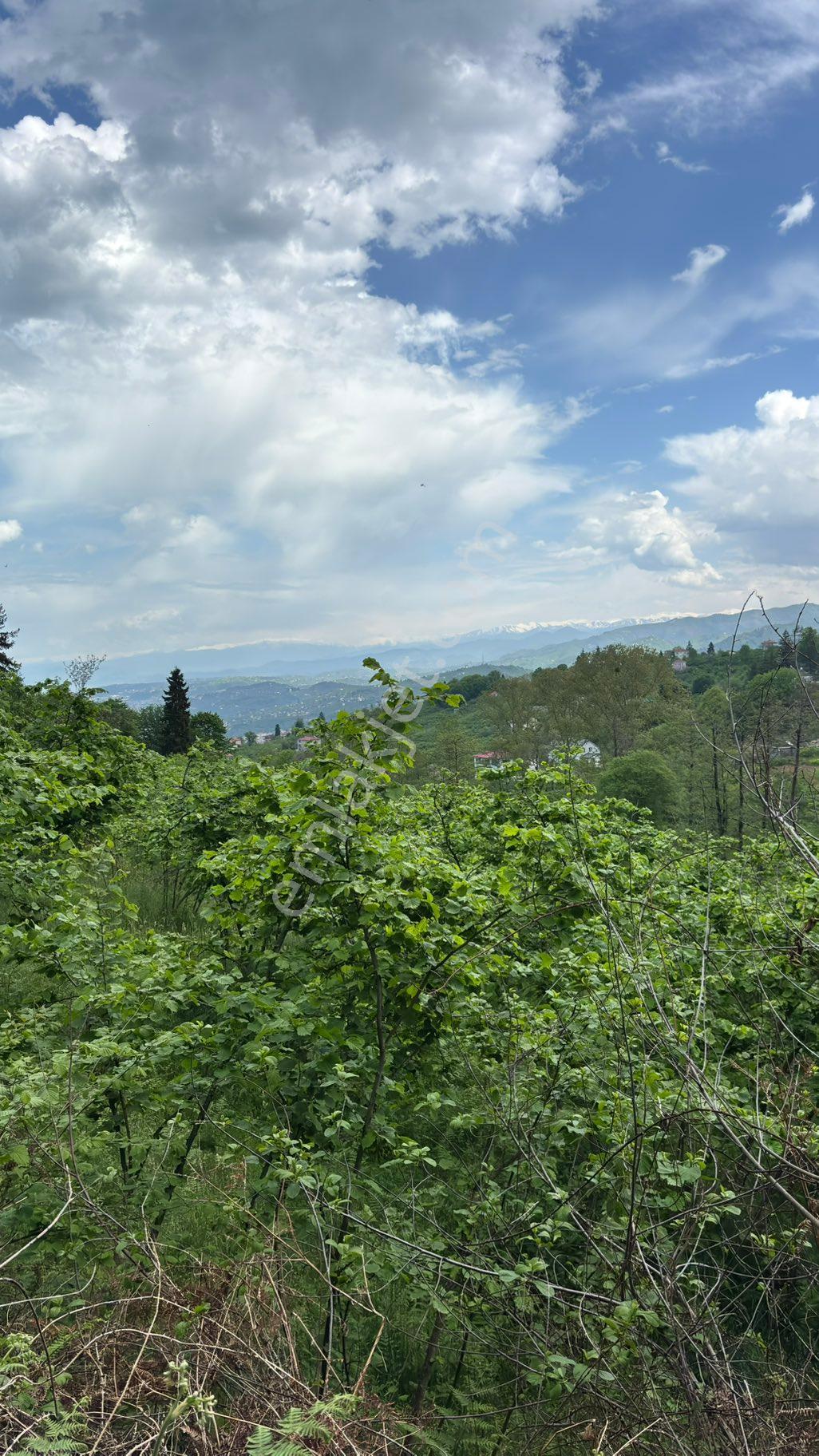 Satılık Arsa Arazi Kavala 3800mkr Yatırımlık - Görsel 8