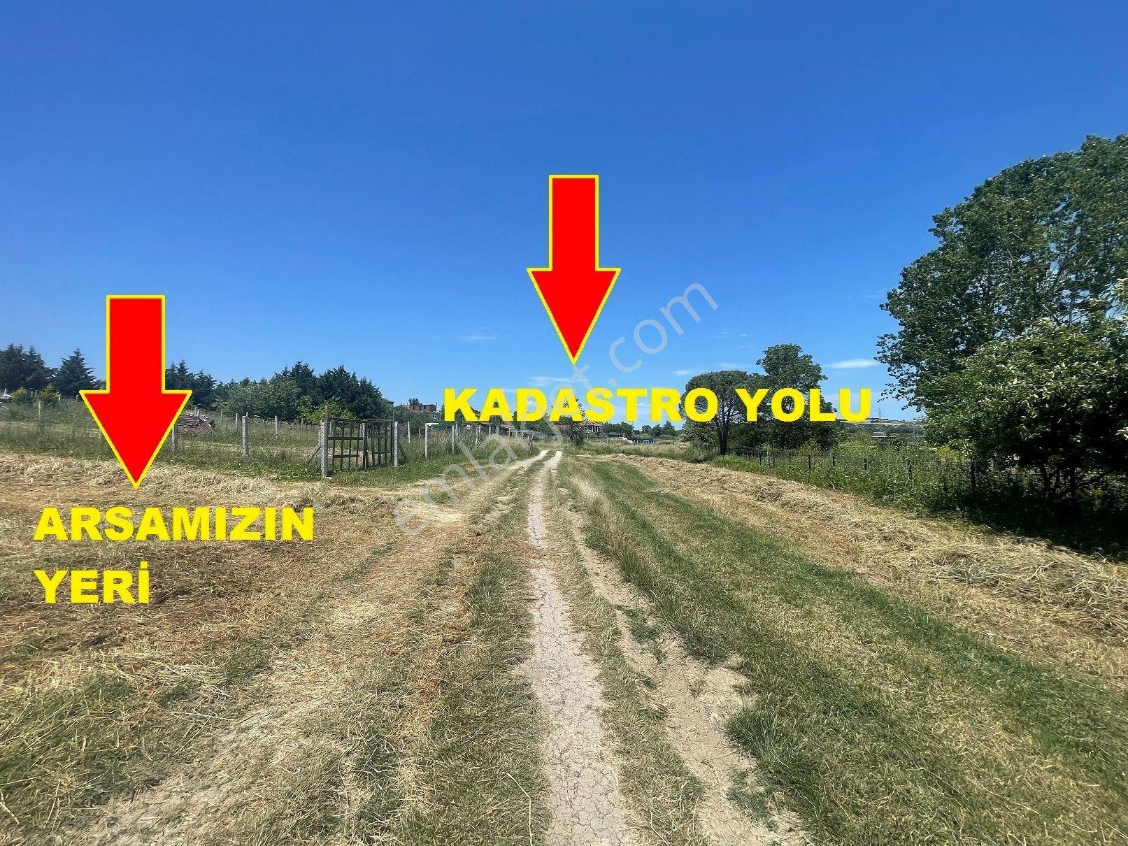 Çatalca Çanakça Mahallesinde Satılık Orman Manzaralı Kadastro Yolu Önü 687 M2 Müstakil Tapulu Tarla - Görsel 8