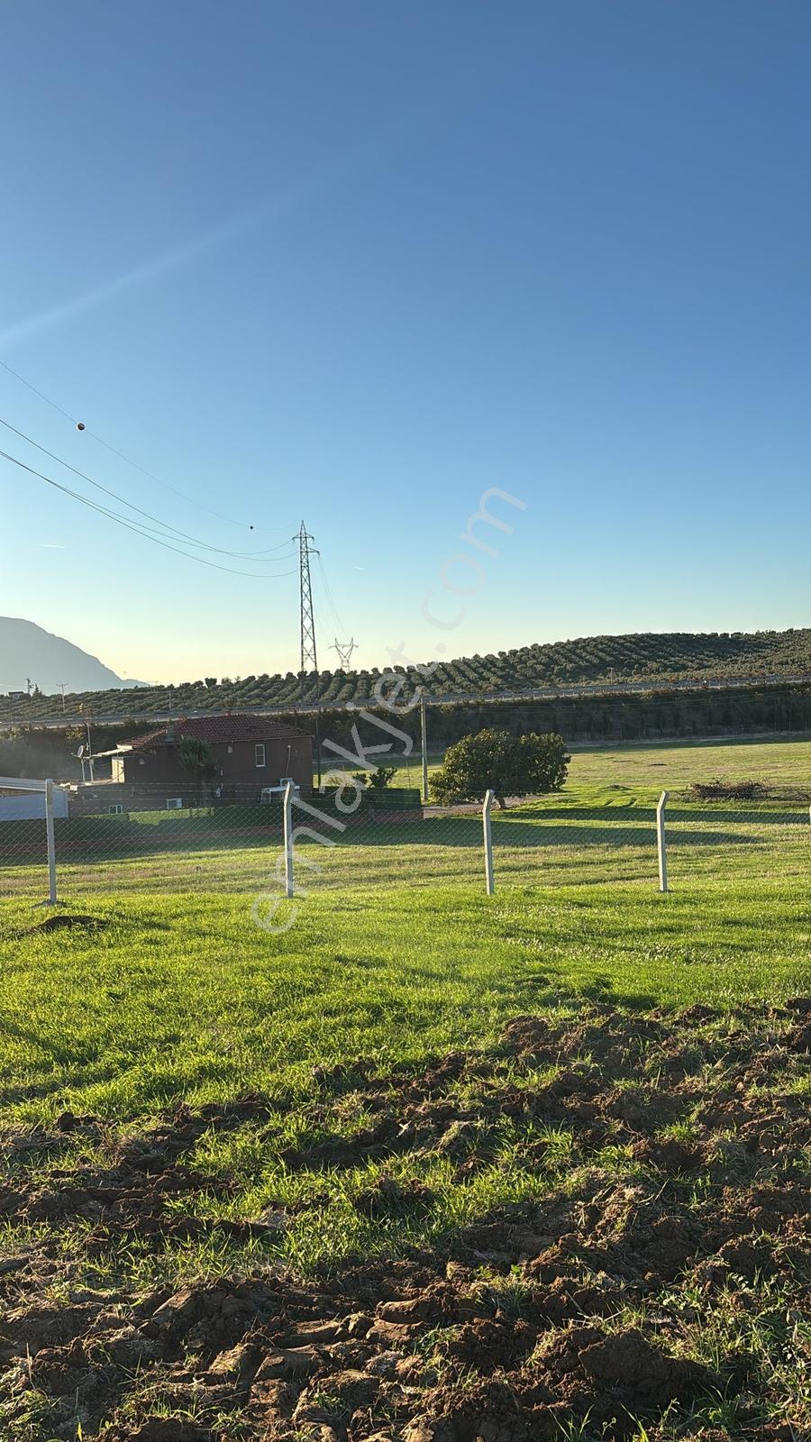 Manisa Turgutlu Sinirli Mh 2.000 M2 Tek Tapu Köycivarı Tarla - Görsel 11