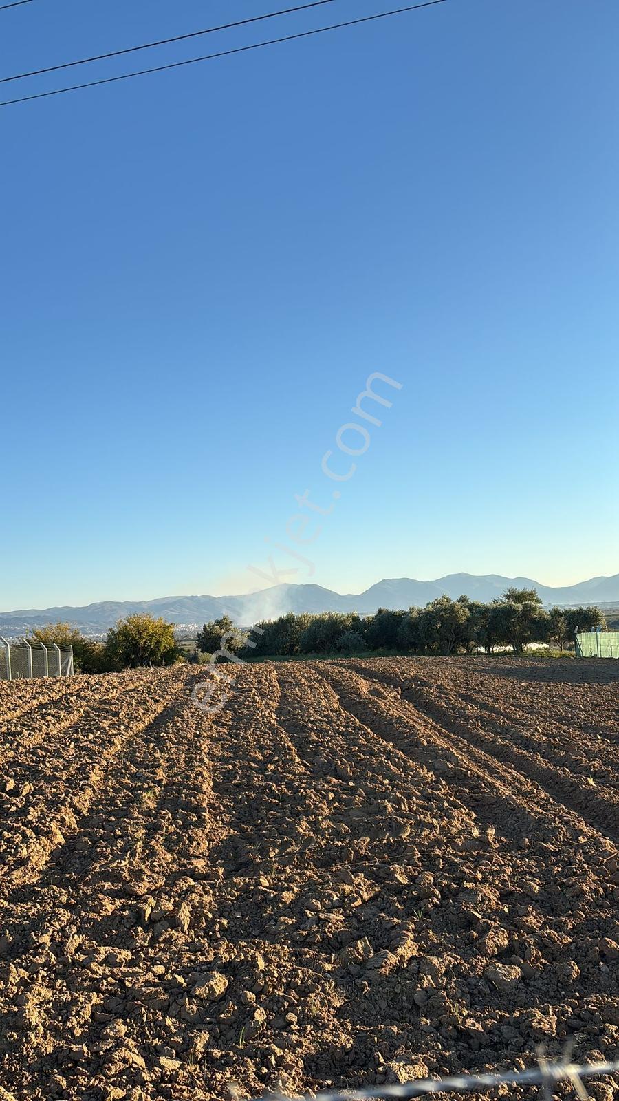 Manisa Turgutlu Sinirli Mh 2.000 M2 Tek Tapu Köycivarı Tarla - Görsel 8