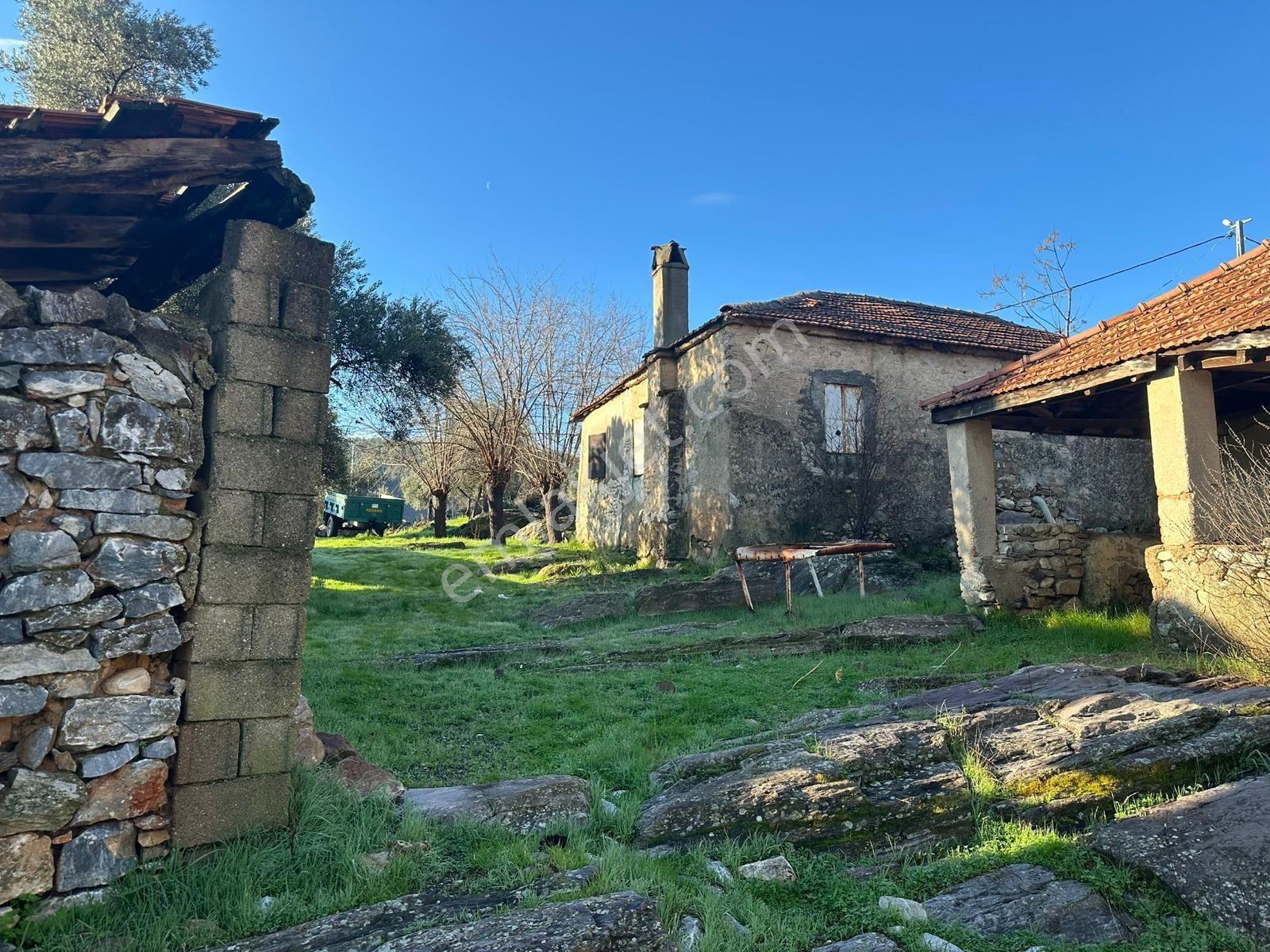 Milas Kizilagacta Satilik Eski Köy Evi Ve Tarla - Görsel 22