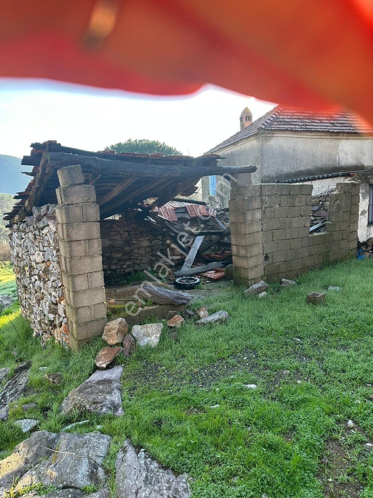 Milas Kizilagacta Satilik Eski Köy Evi Ve Tarla - Görsel 25
