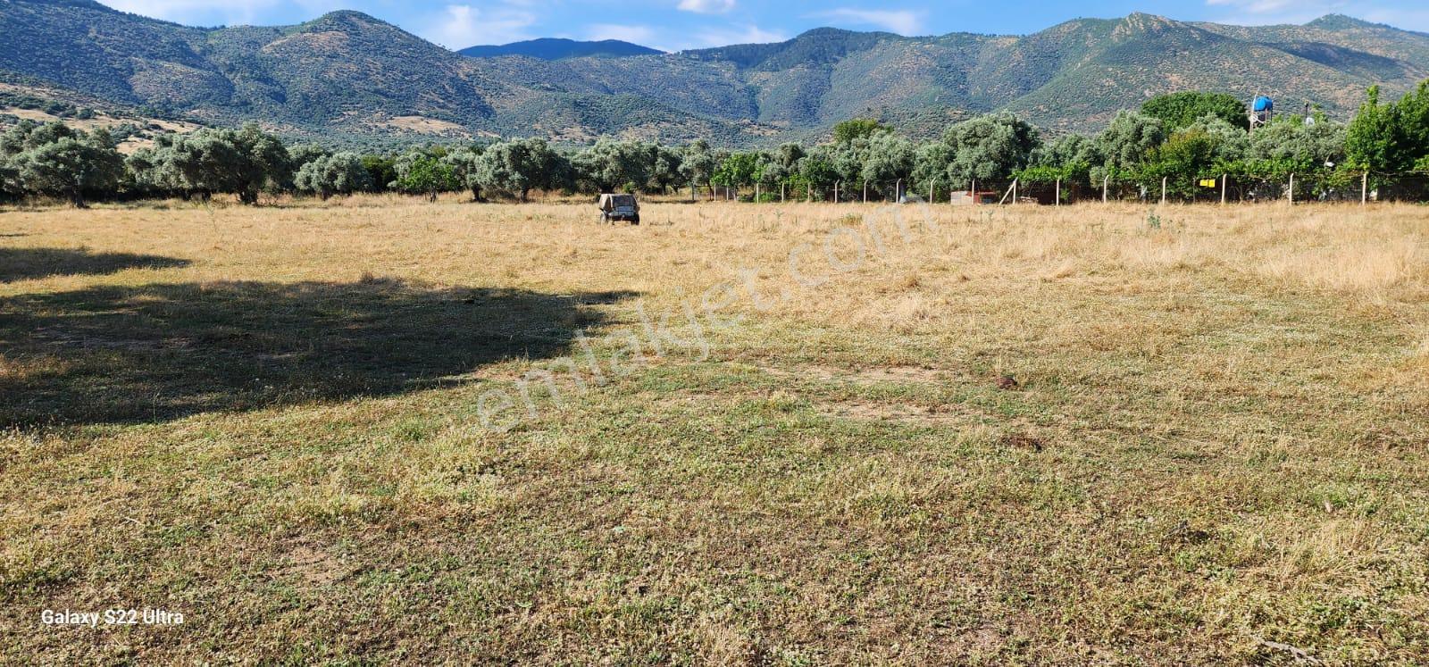 Bayındır Furunlu Köyü Anayola Yakın Satılık Verimli Tarla - Görsel 12