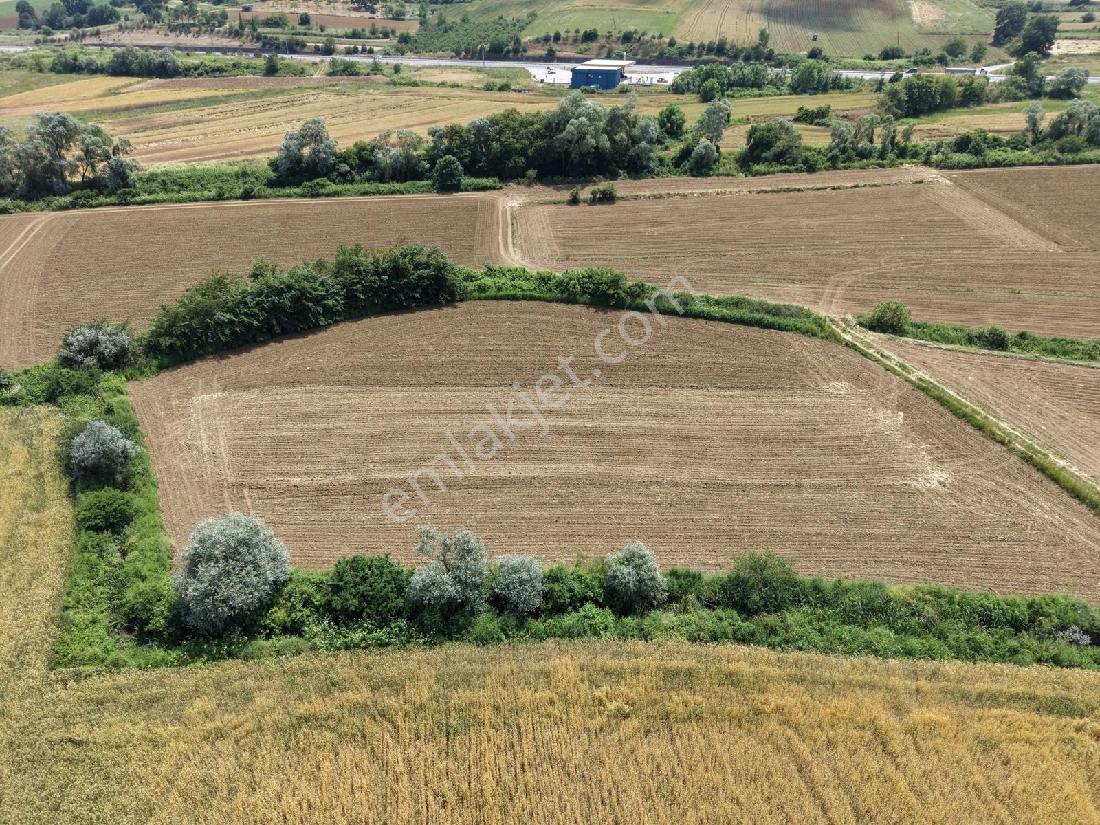 Adapazarı Karadere 440m2 Yolu Mevcut Kaçırılmayacak Fırsat - Görsel 5