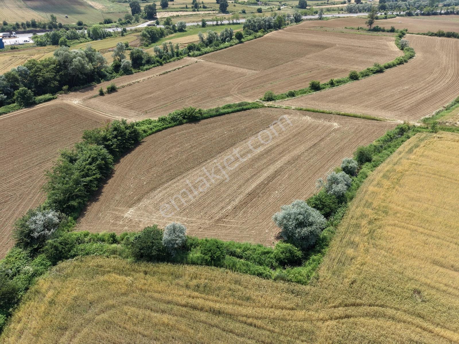 Adapazarı Karadere 440m2 Yolu Mevcut Kaçırılmayacak Fırsat - Görsel 30