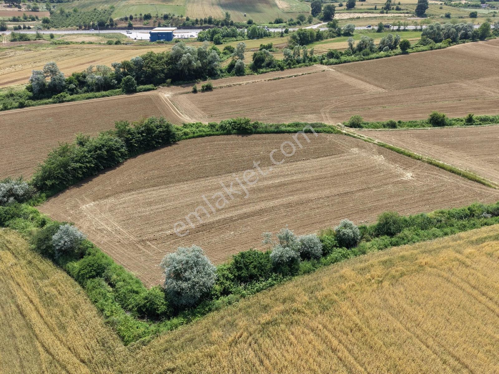 Adapazarı Karadere 440m2 Yolu Mevcut Kaçırılmayacak Fırsat - Görsel 4