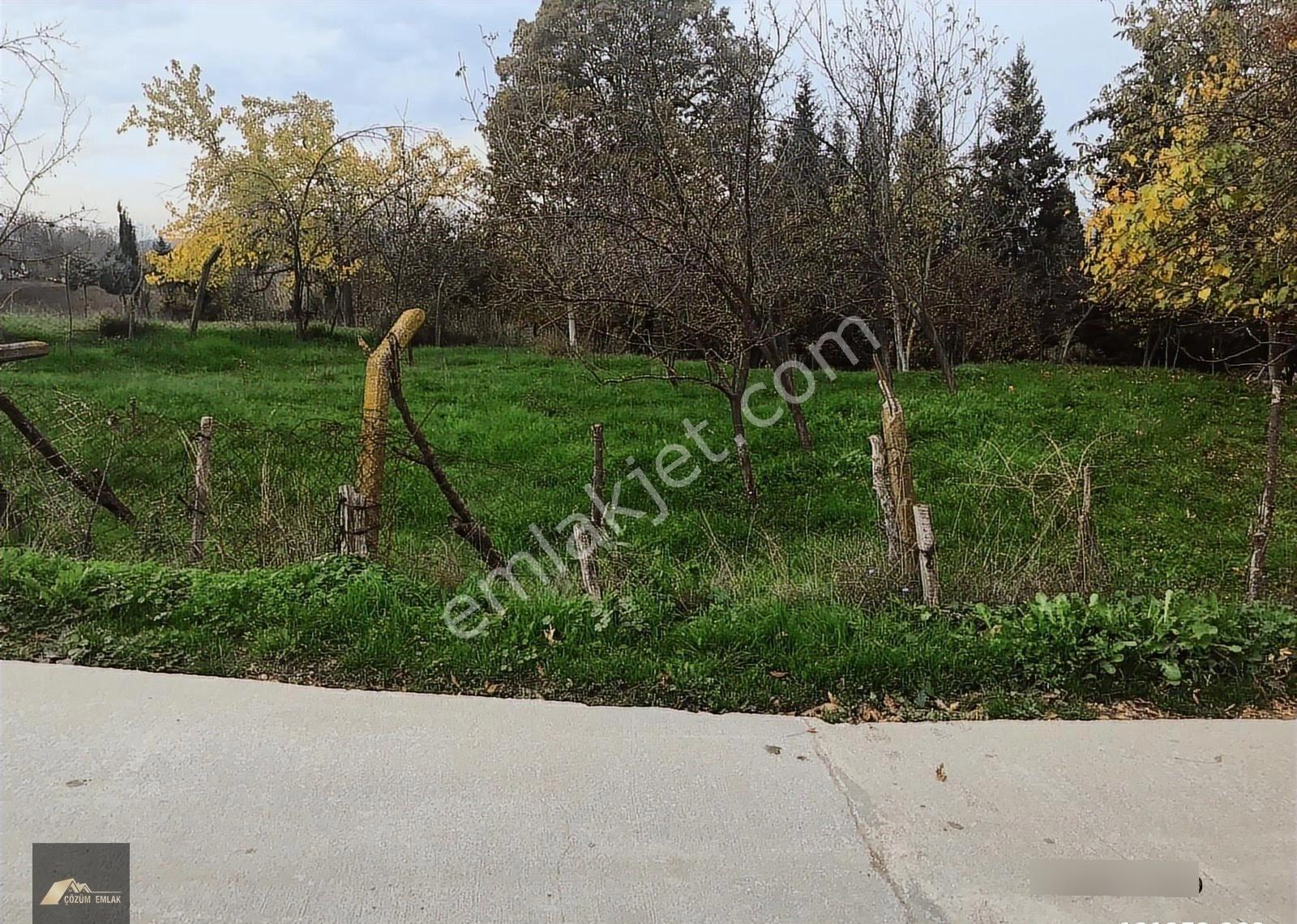 Kocaeli Karamürsel Çamdibi Bozkurt Mahallesi İmarlı Satılık Arsa - Görsel 23