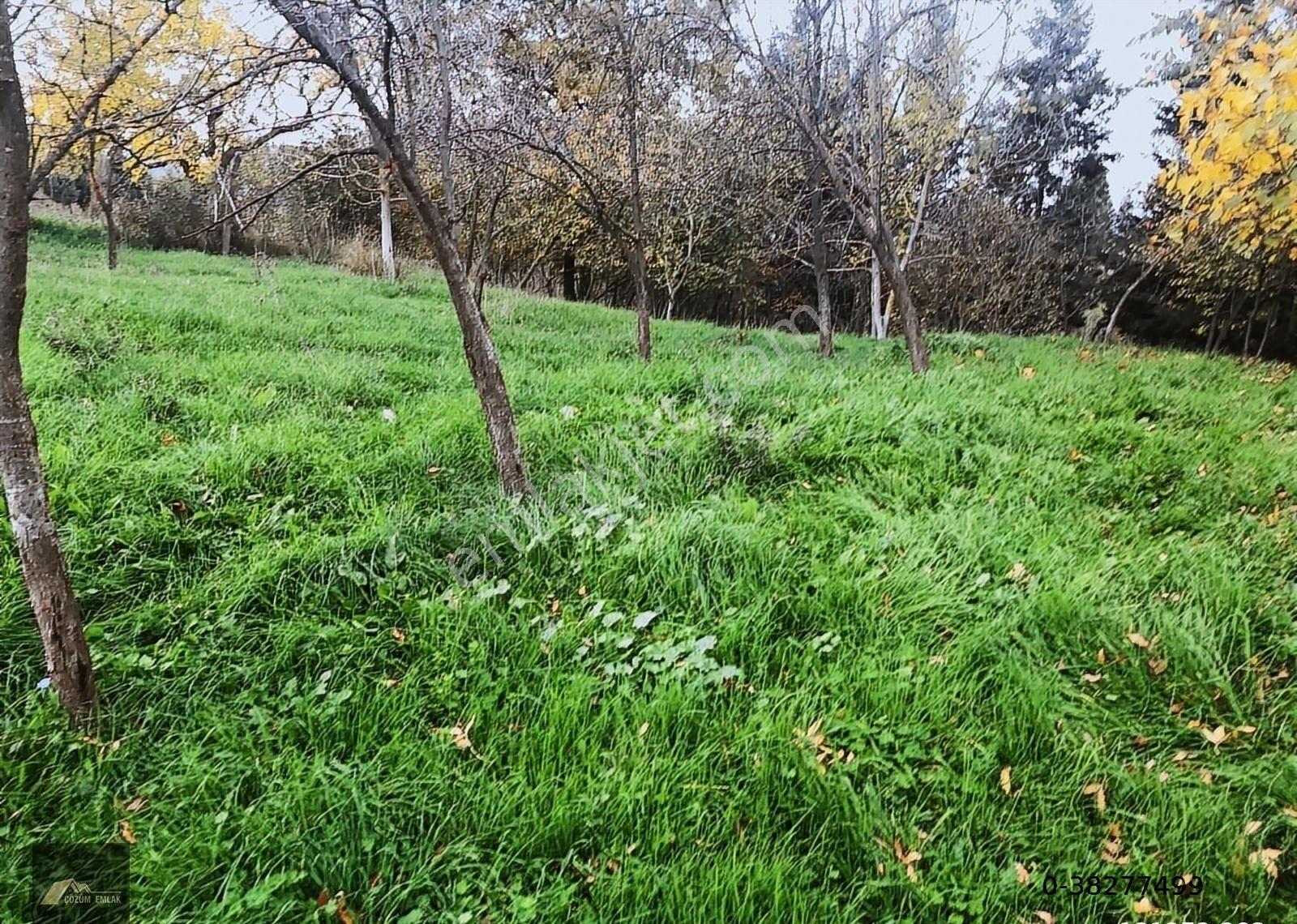 Kocaeli Karamürsel Çamdibi Bozkurt Mahallesi İmarlı Satılık Arsa - Görsel 25