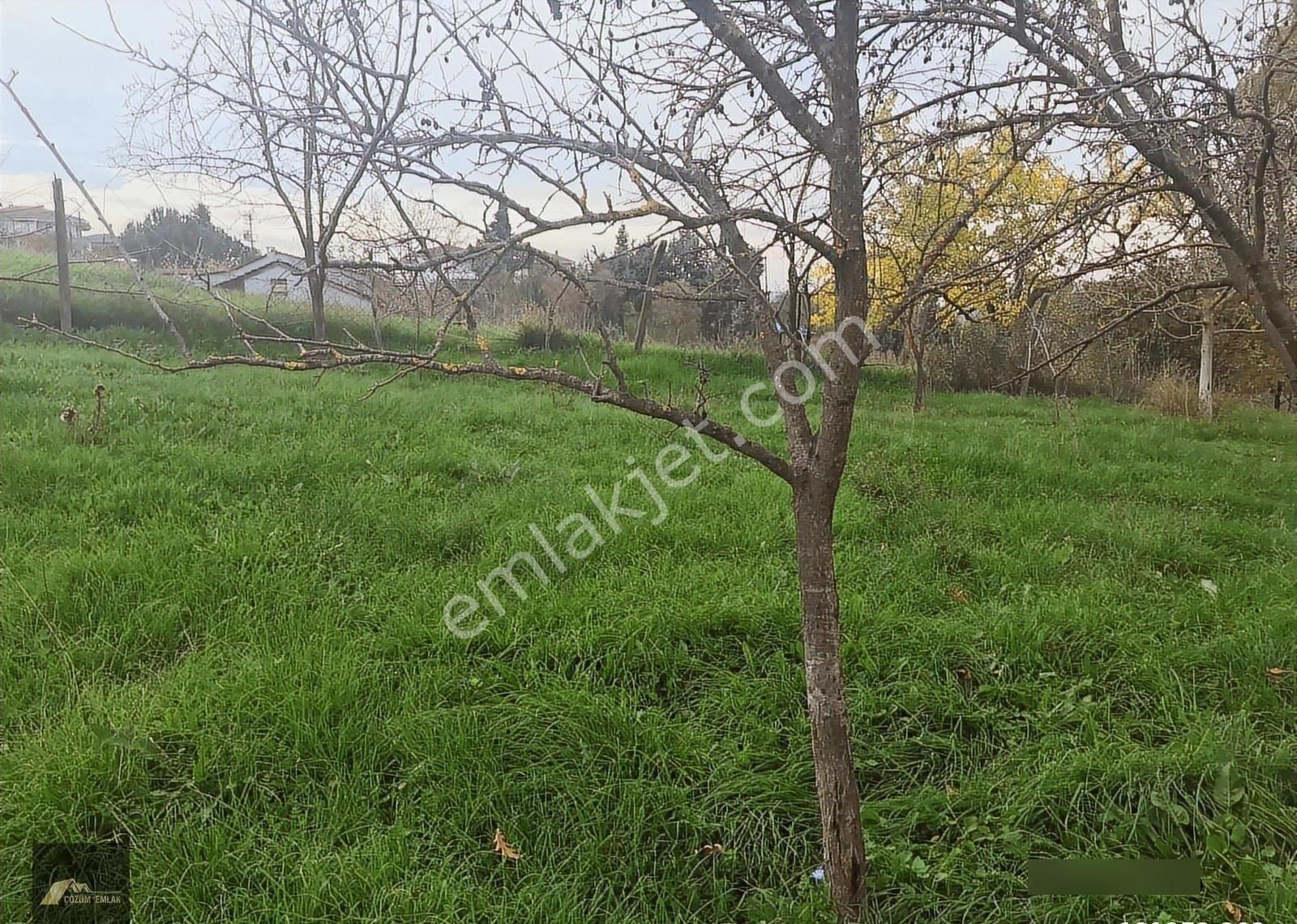 Kocaeli Karamürsel Çamdibi Bozkurt Mahallesi İmarlı Satılık Arsa - Görsel 32