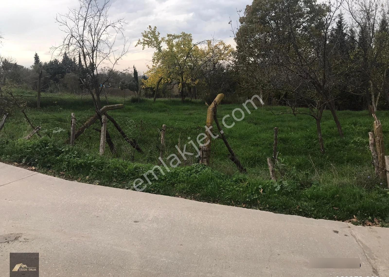 Kocaeli Karamürsel Çamdibi Bozkurt Mahallesi İmarlı Satılık Arsa - Görsel 3