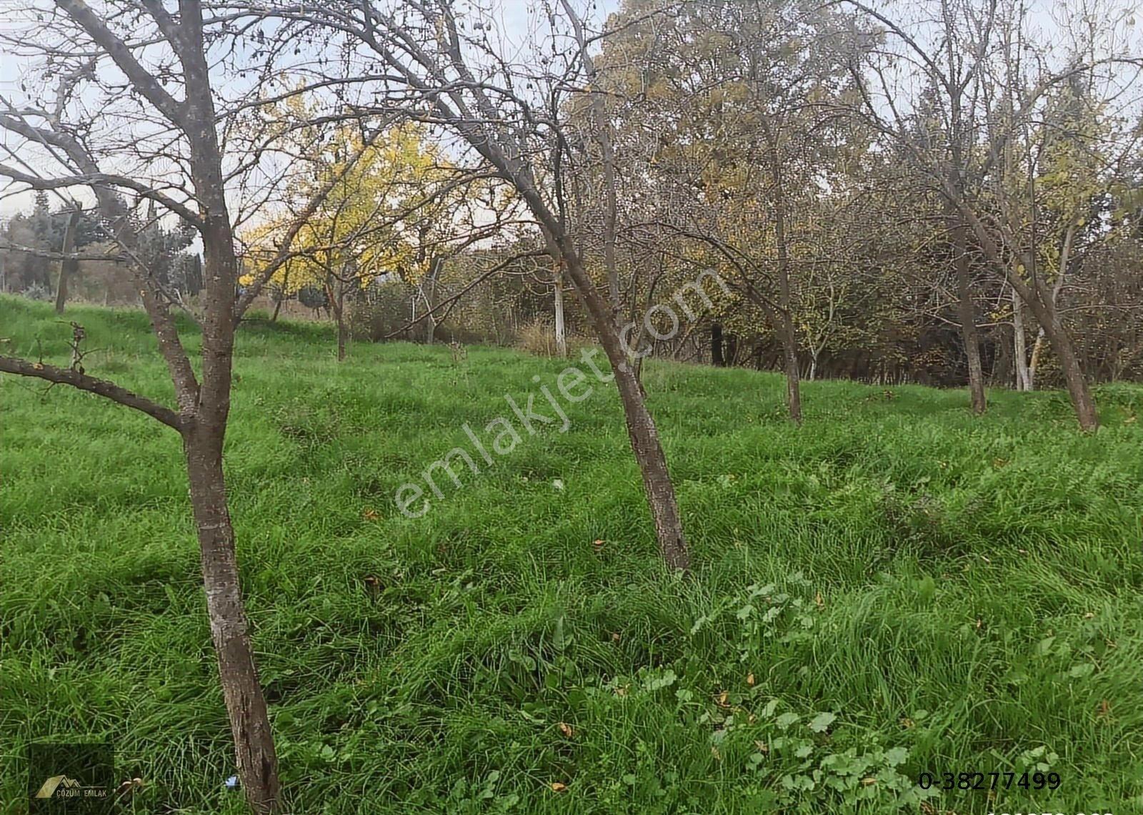 Kocaeli Karamürsel Çamdibi Bozkurt Mahallesi İmarlı Satılık Arsa - Görsel 33
