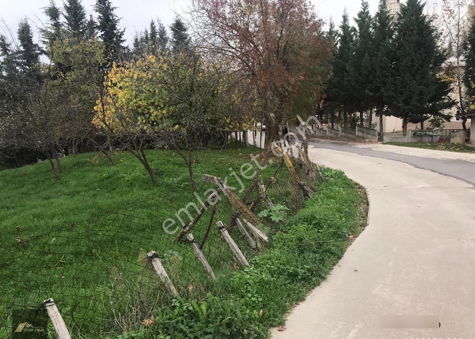 Kocaeli Karamürsel Çamdibi Bozkurt Mahallesi İmarlı Satılık Arsa - Görsel 19