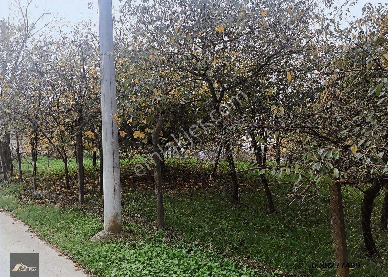 Kocaeli Karamürsel Çamdibi Bozkurt Mahallesi İmarlı Satılık Arsa - Görsel 13