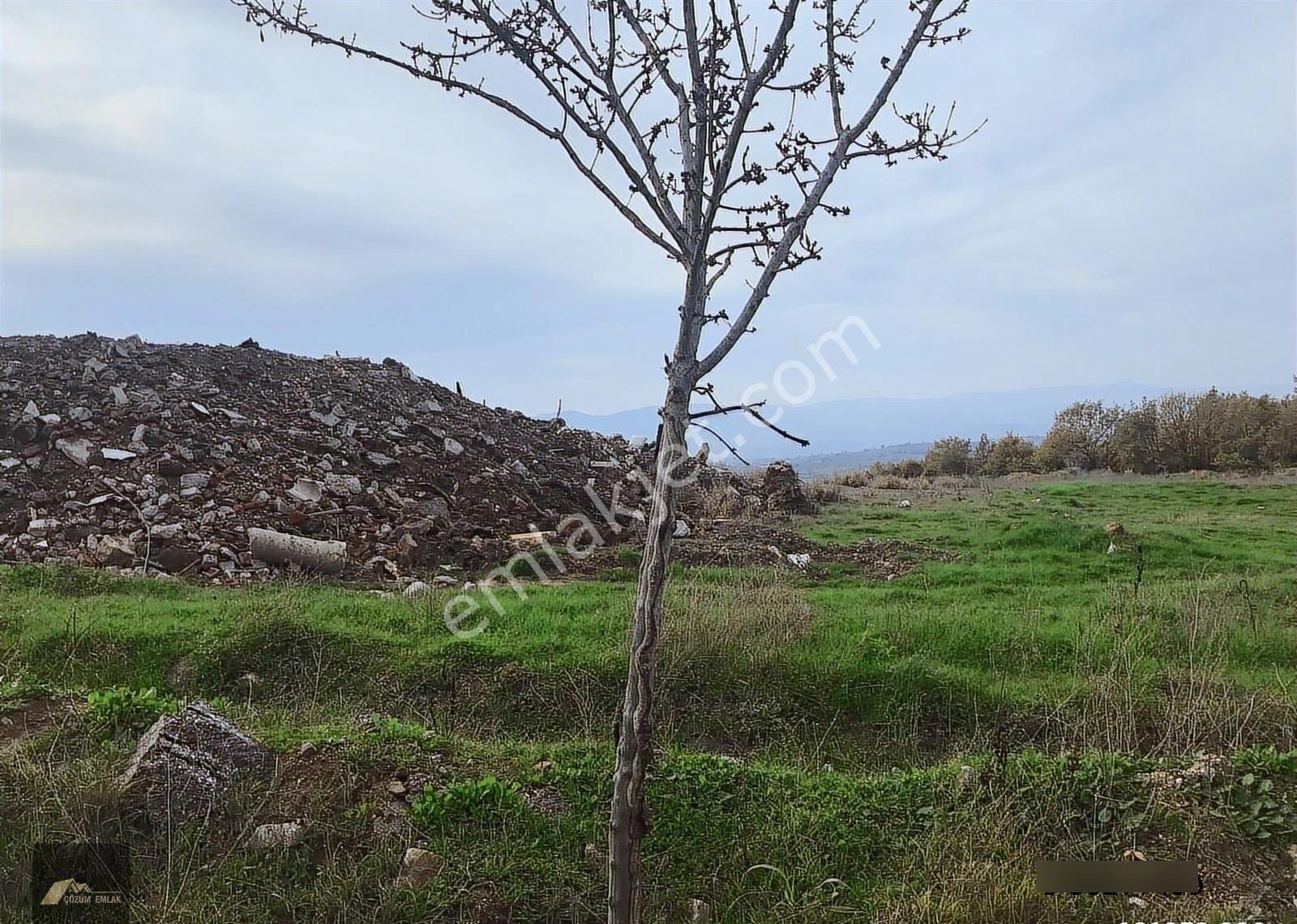 Kocaeli Karamürsel İhsaniye Köyü Yola Cepheli Satılık Tarlalar