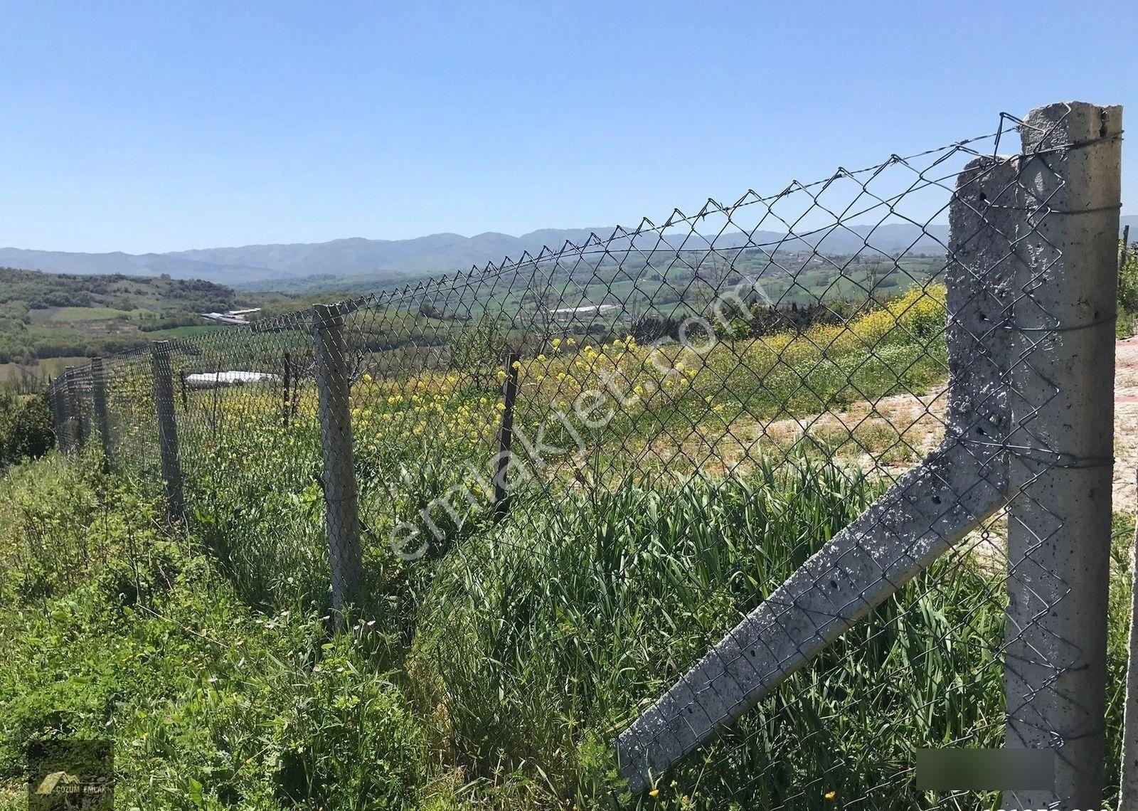 Kocaeli Karamürsel İnebeyli Köyü Satılık Meyve Bahçesi Ve Konutu - Görsel 35