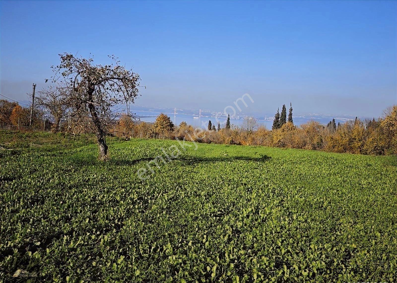 Kocaeli Karamürsel Dereköyde Köprüye Nazır Satılık İmarlı Arsa - Görsel 8