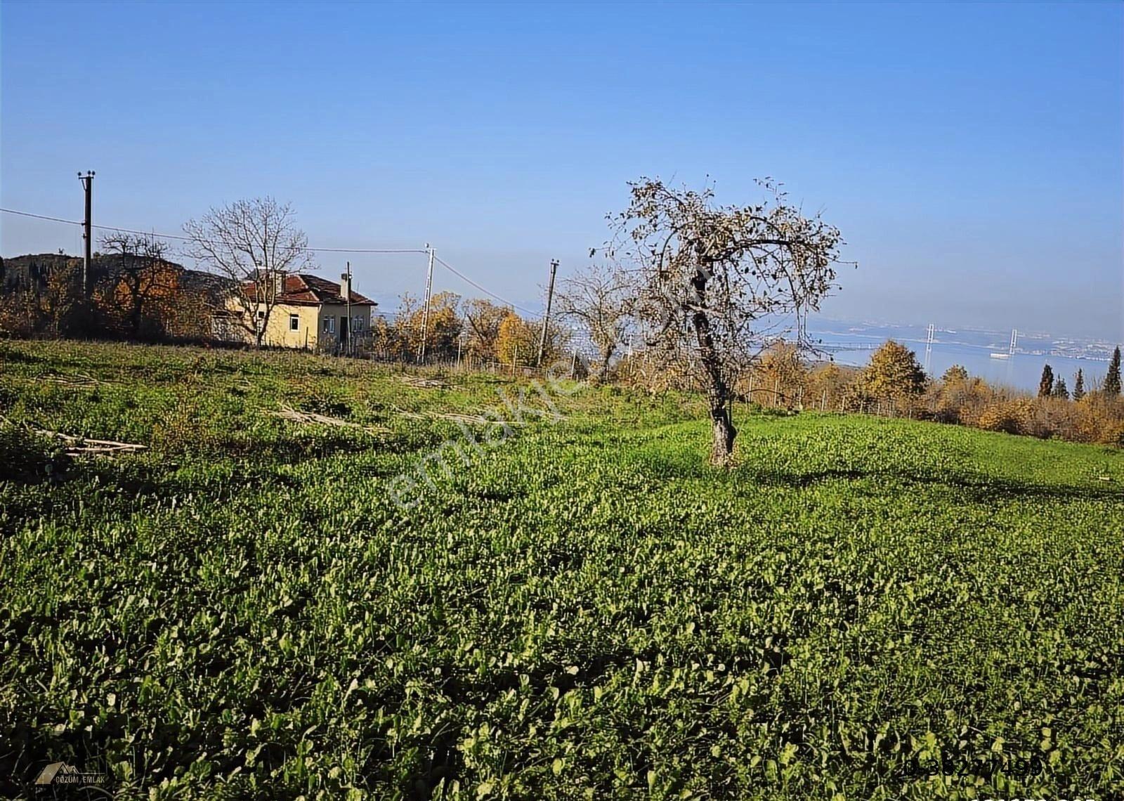 Kocaeli Karamürsel Dereköyde Köprüye Nazır Satılık İmarlı Arsa - Görsel 10